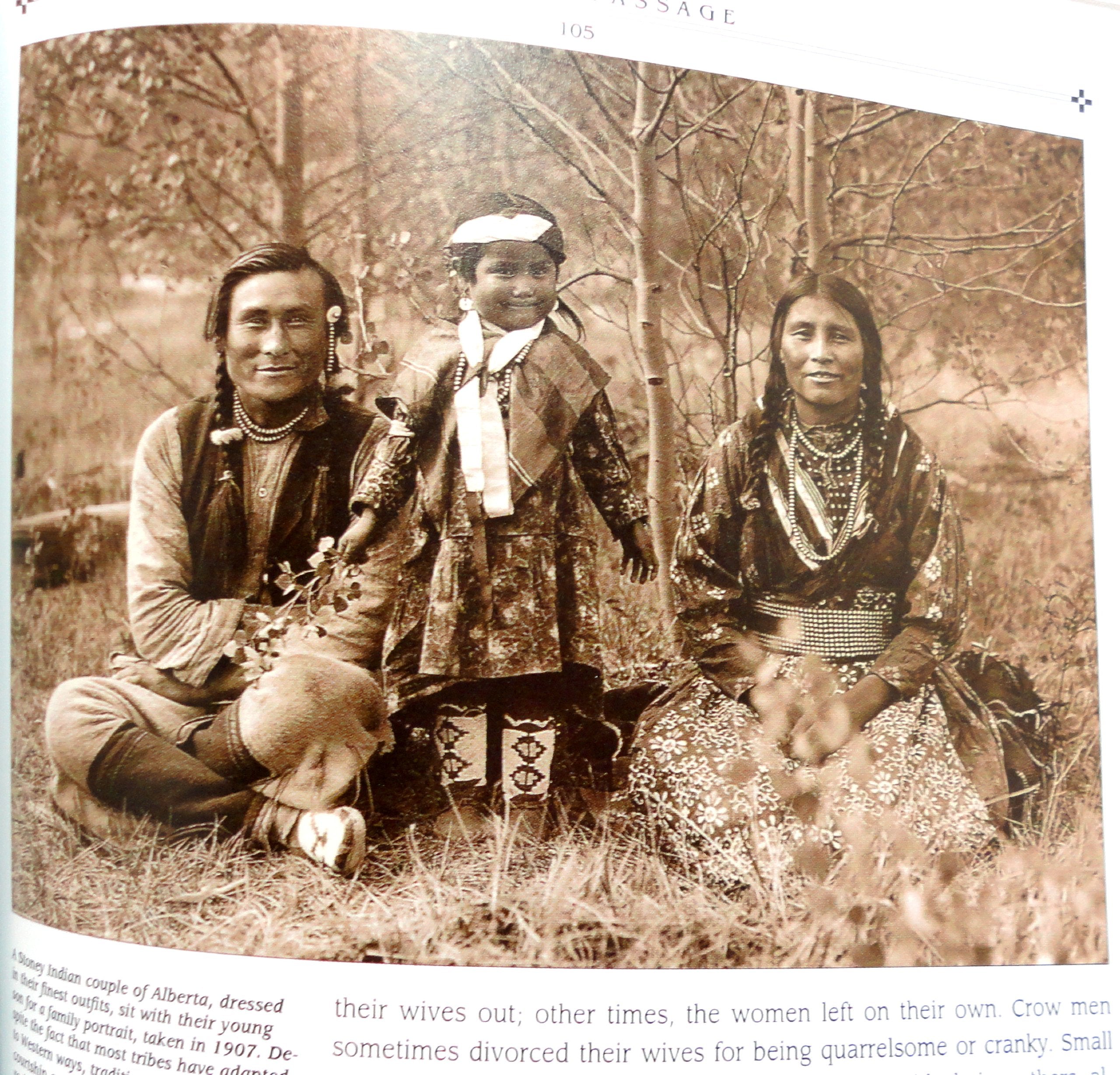 Cycles of Life (American Indians) used book depot