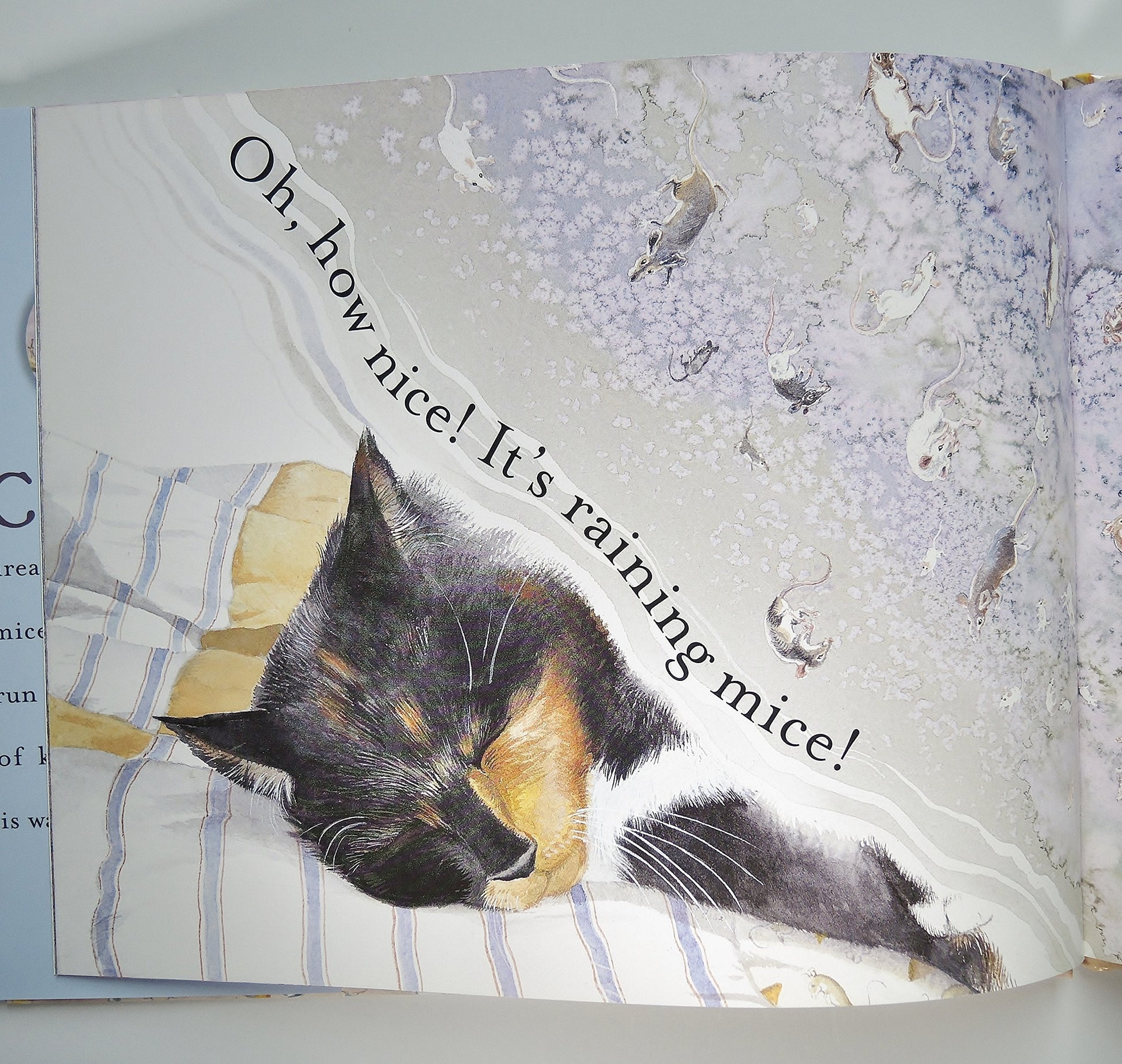 Cat Dreams used book depot