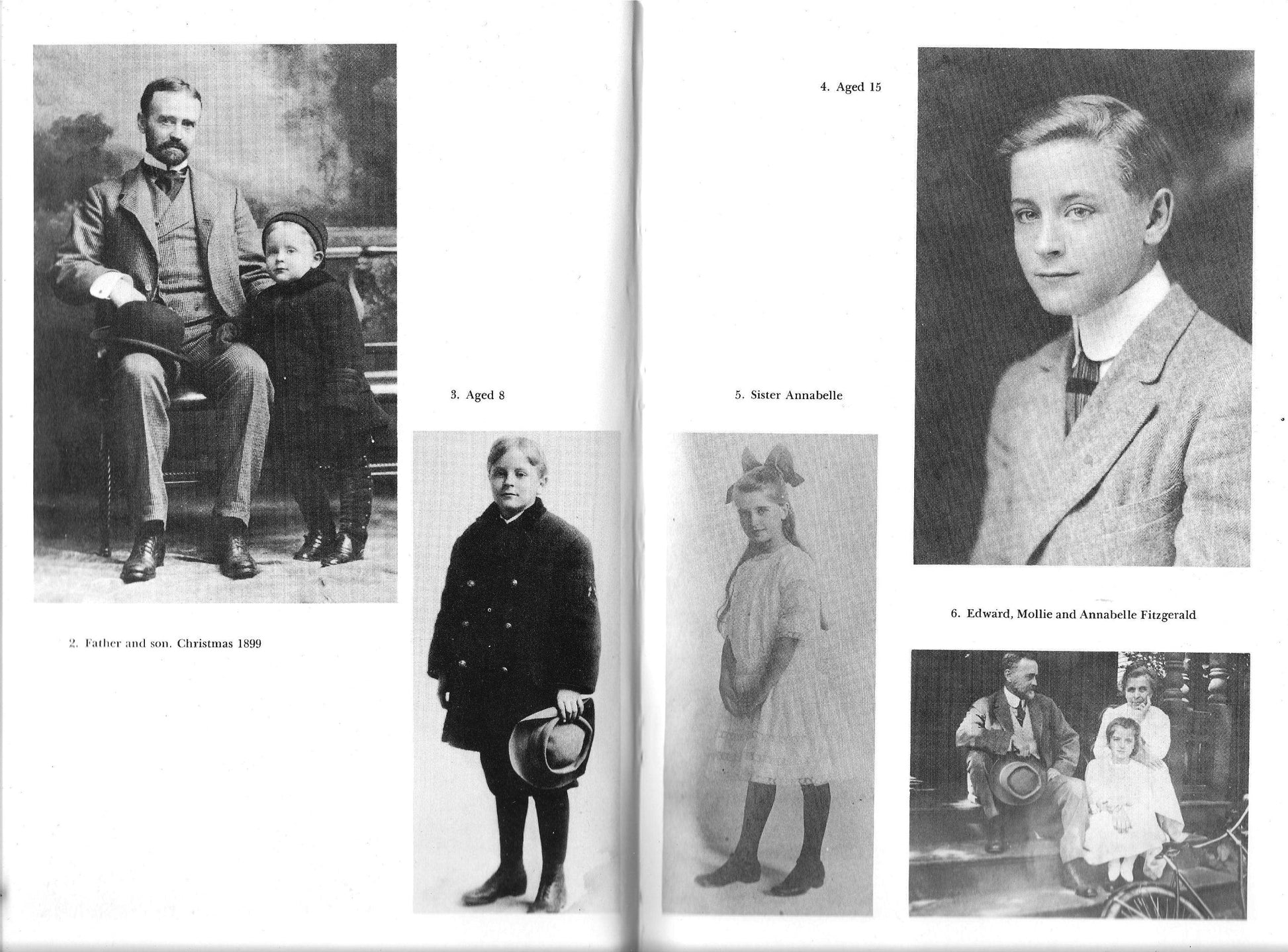 Scott Fitzgerald-a Biography used book depot