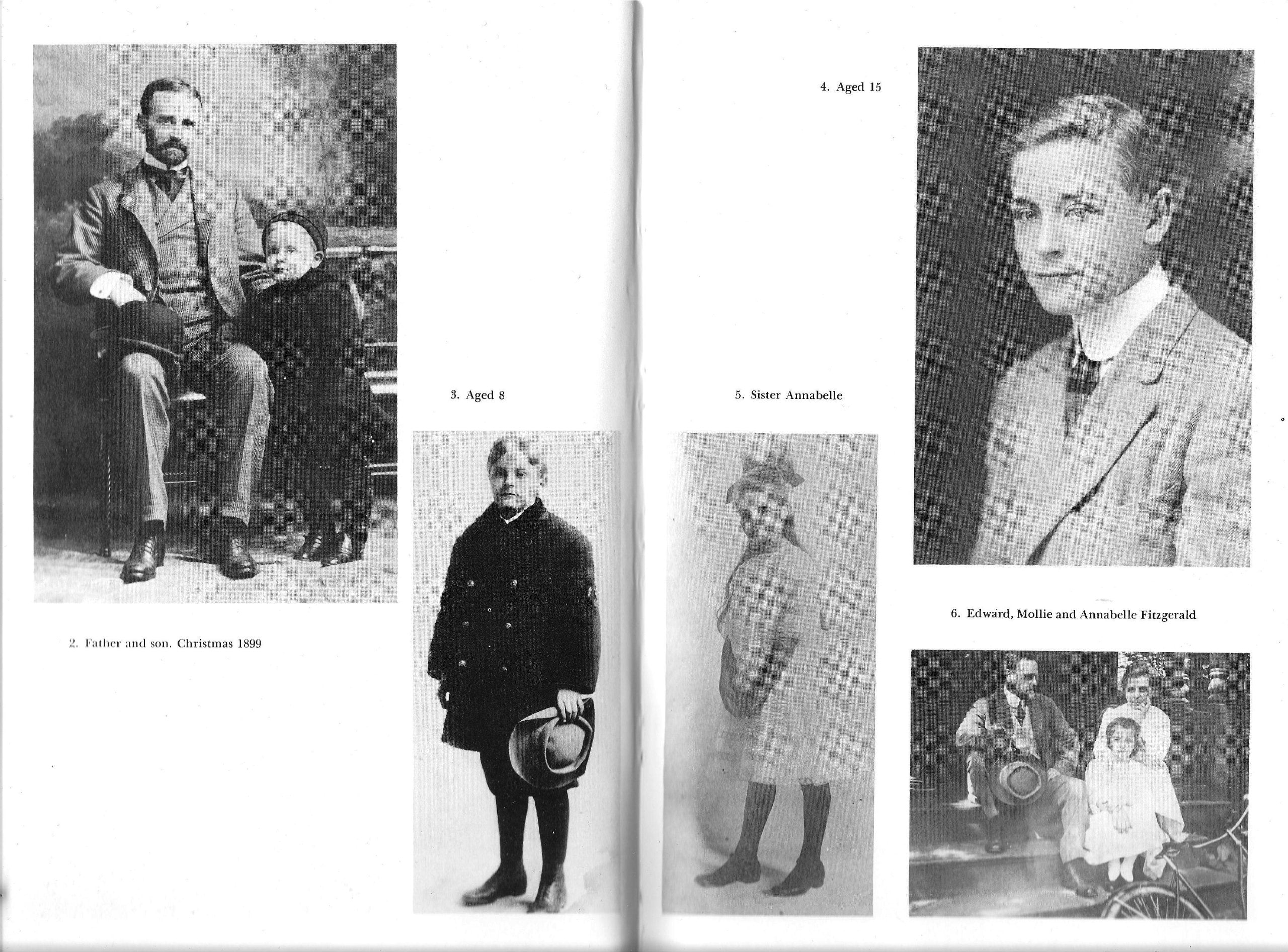 Scott Fitzgerald-a Biography used book depot