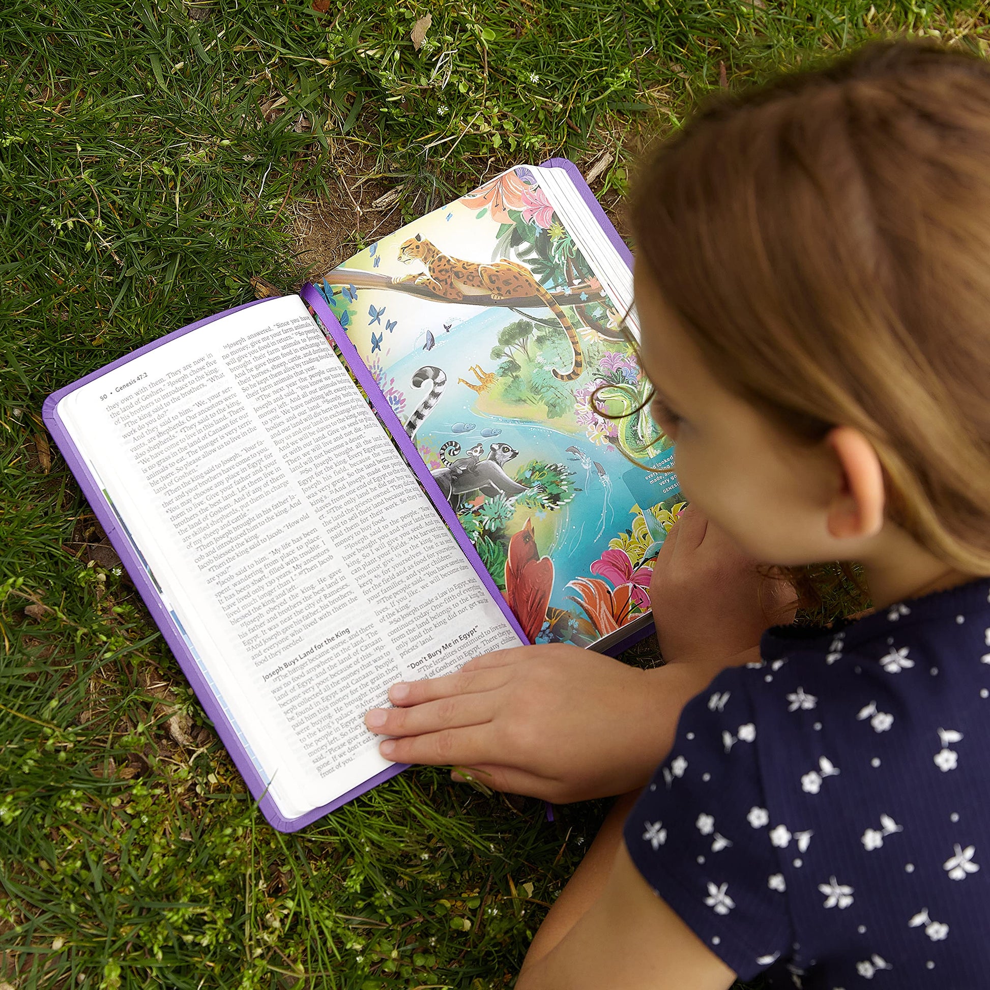 ICB, Holy Bible, Hardcover: International Children's Bible used book depot