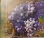 Secrets of the Vine Gift Edition used book depot