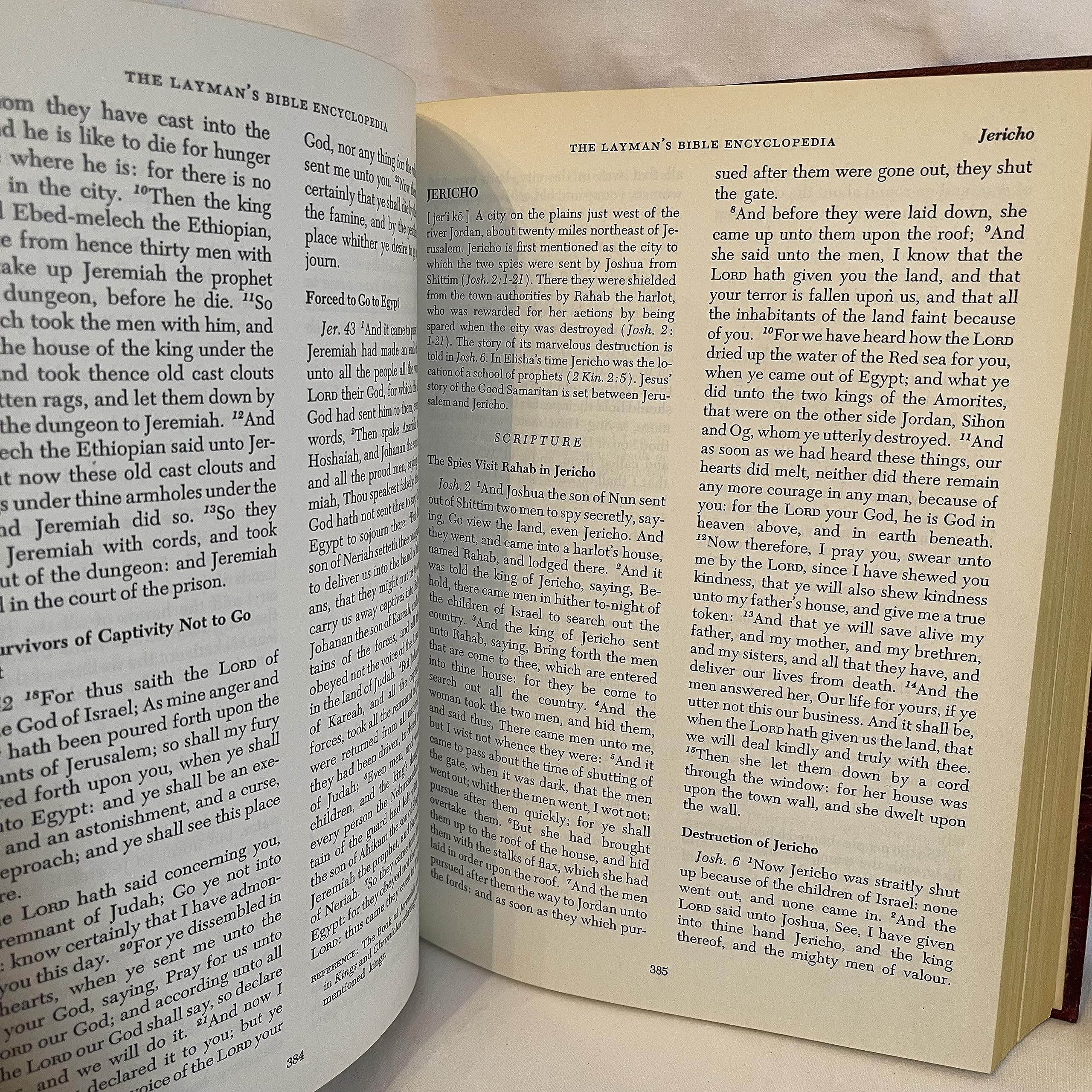 The Layman's Bible Encyclopedia