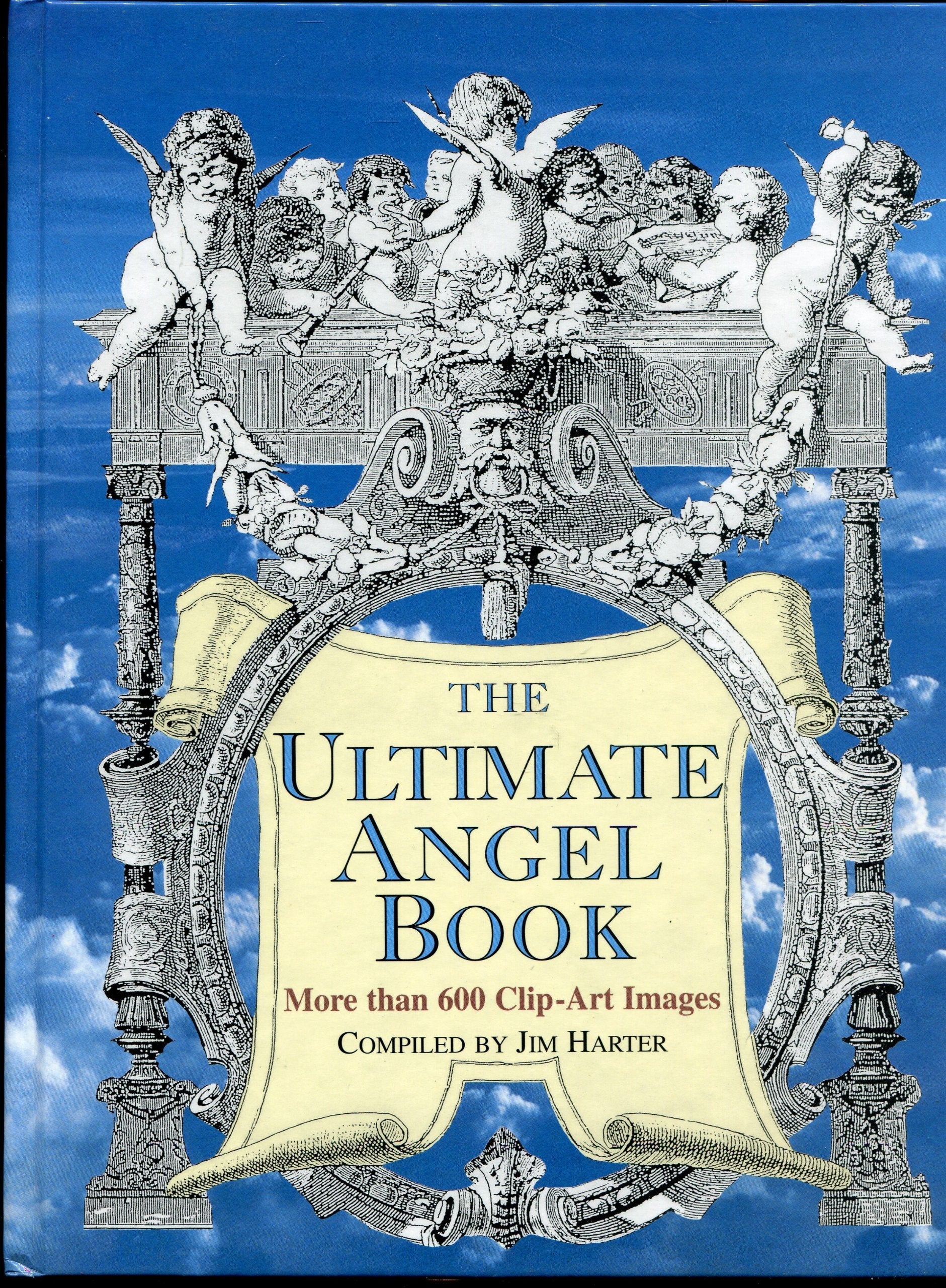 The Ultimate Angel Book used book depot