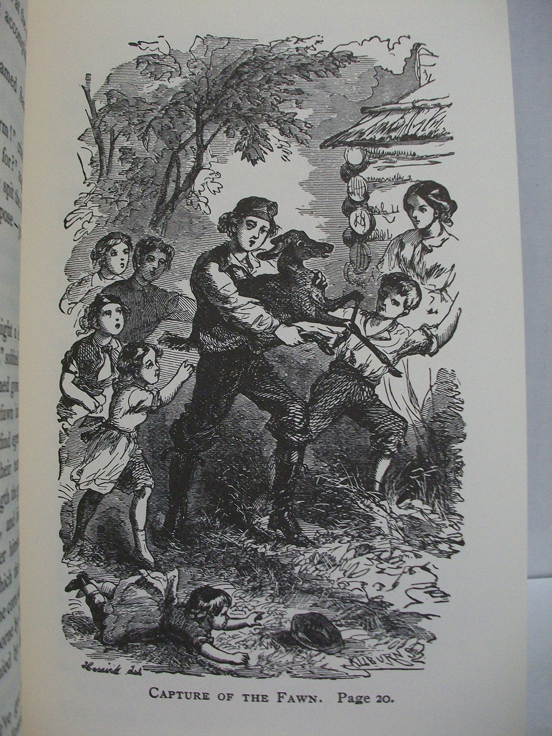 Cabin on The Prairie (Family Classics Collection) used book depot