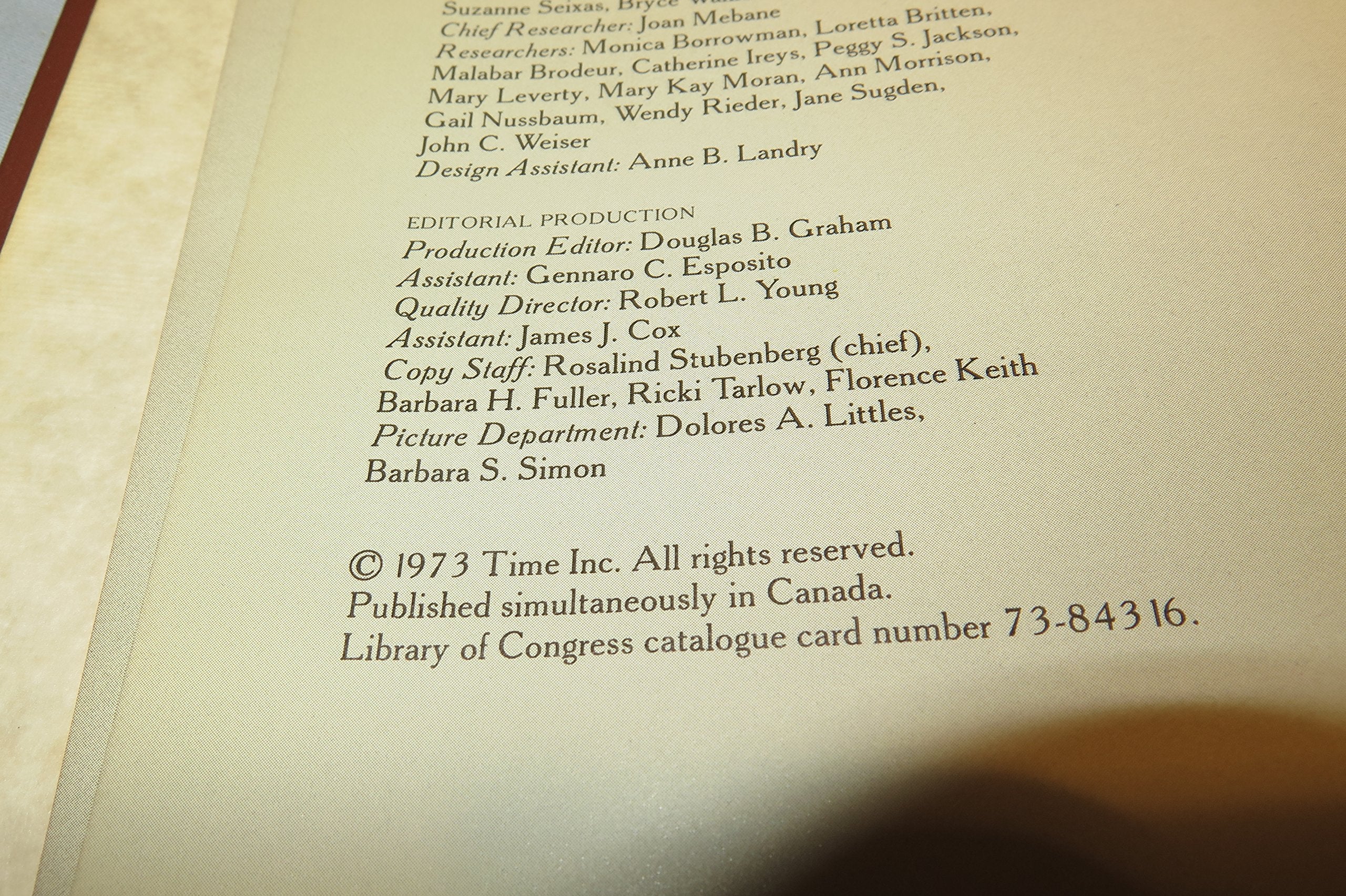 The Railroaders (Old West)