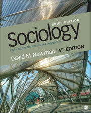 Sociology: Exploring the Architecture of Everyday Life, Brief Edition used book depot