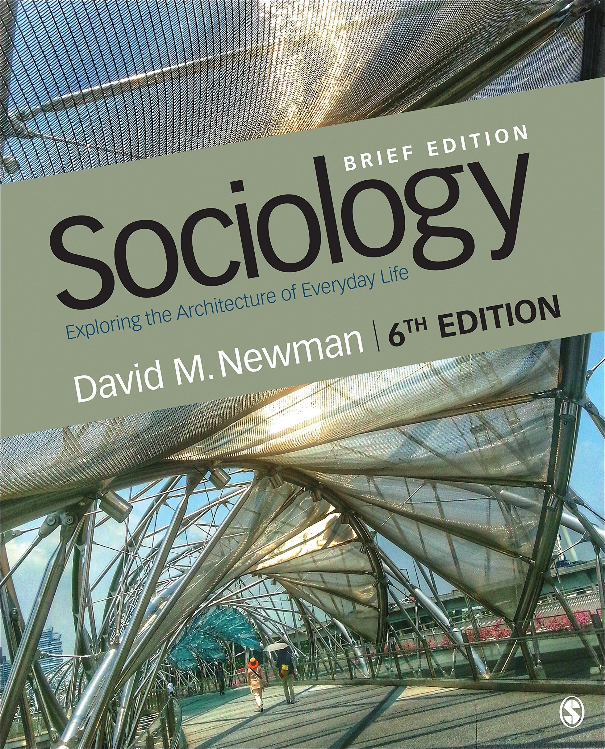 Sociology: Exploring the Architecture of Everyday Life, Brief Edition used book depot