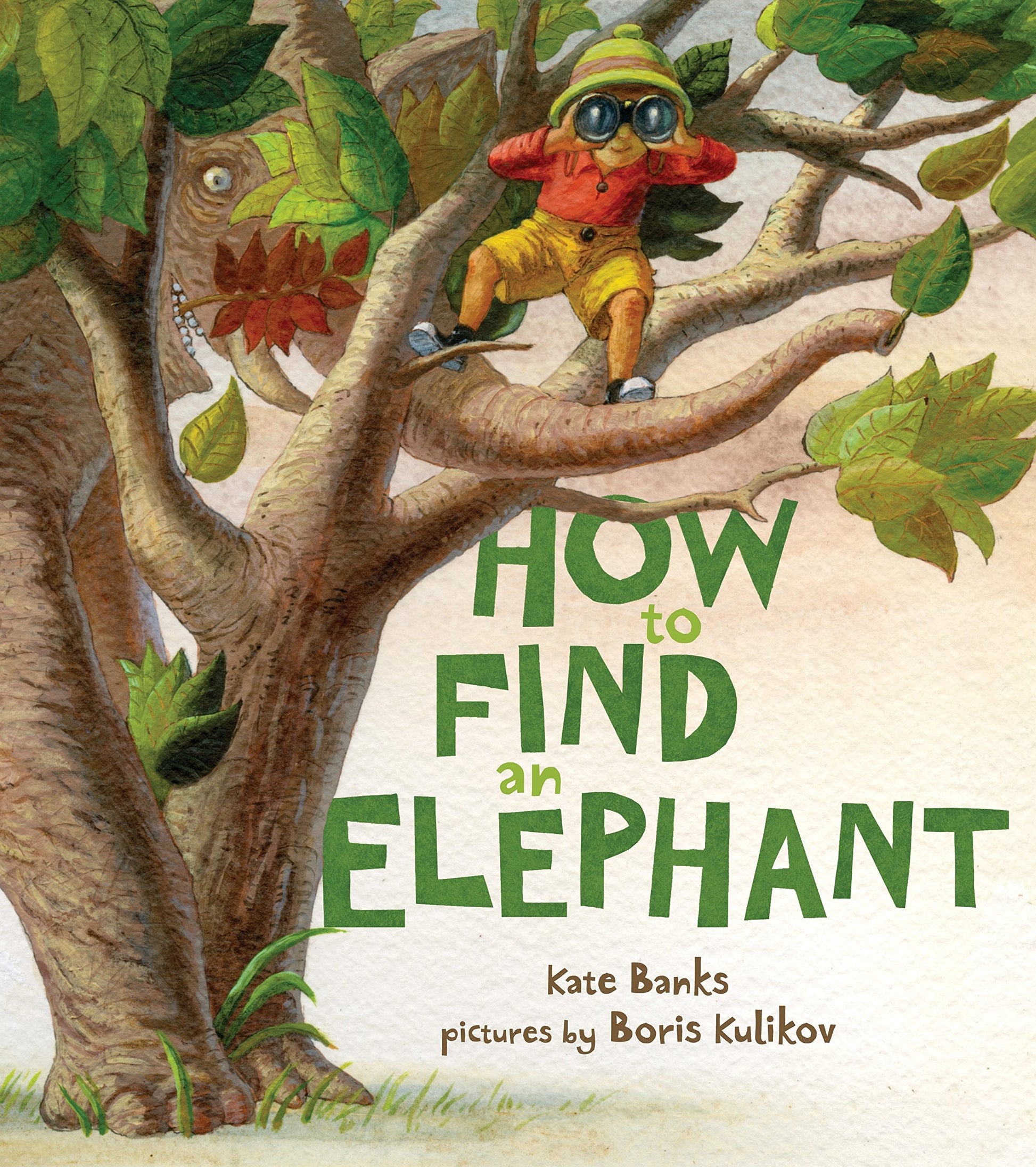 How to Find an Elephant used book depot