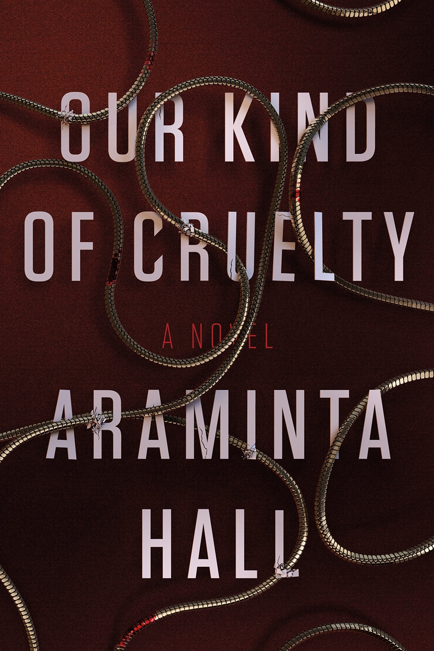 Our Kind of Cruelty: A Novel used book depot