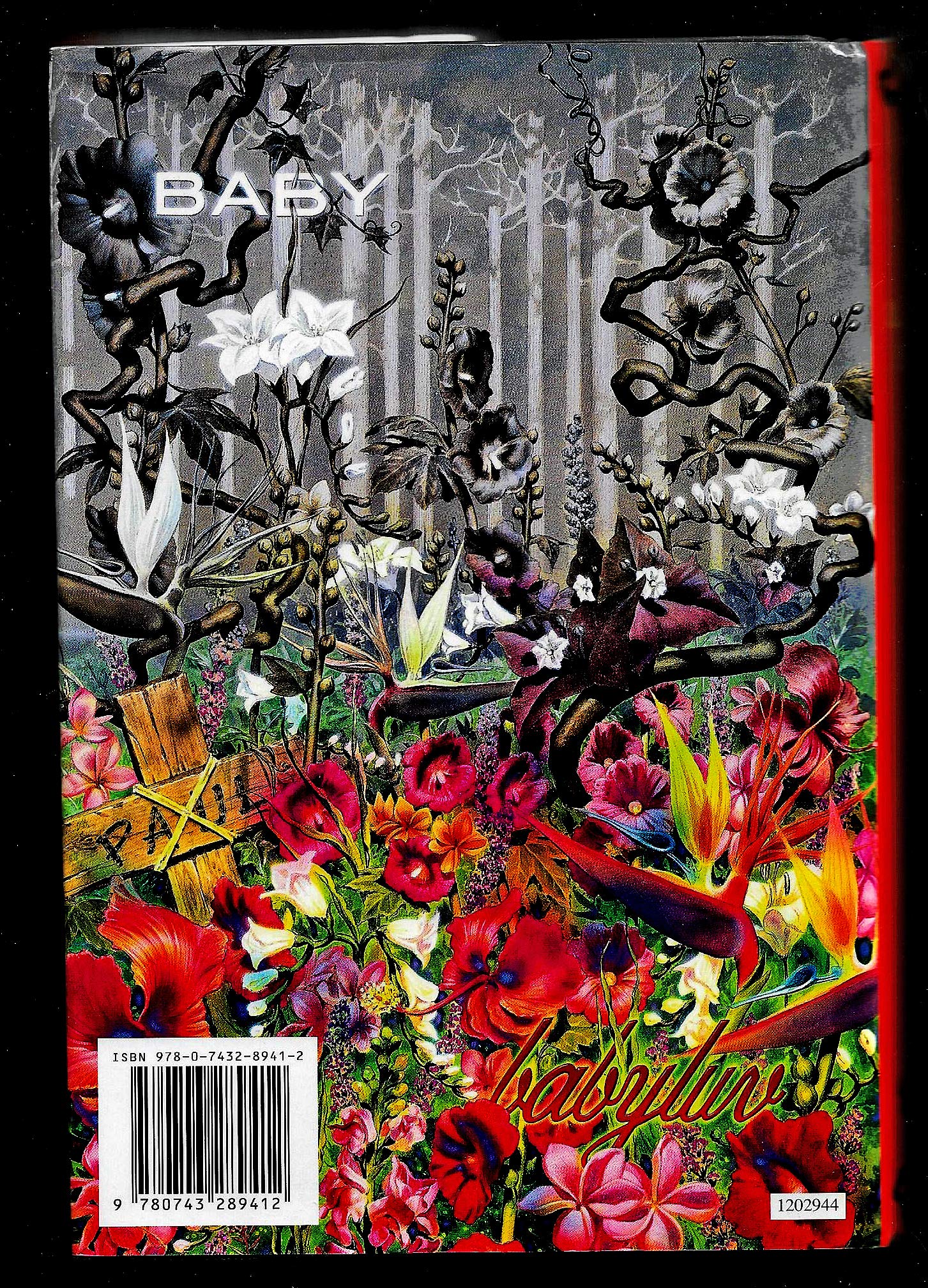 Lisey's Story used book depot