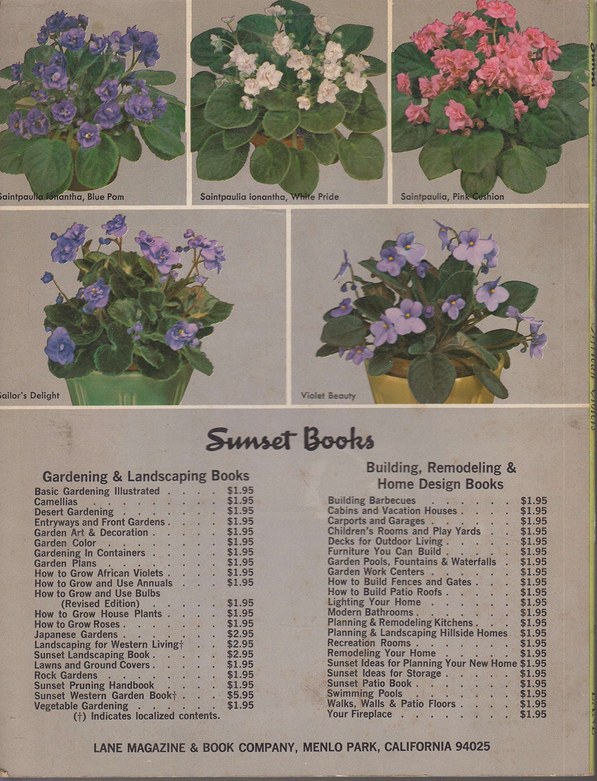 How to Grow African Violets used book depot