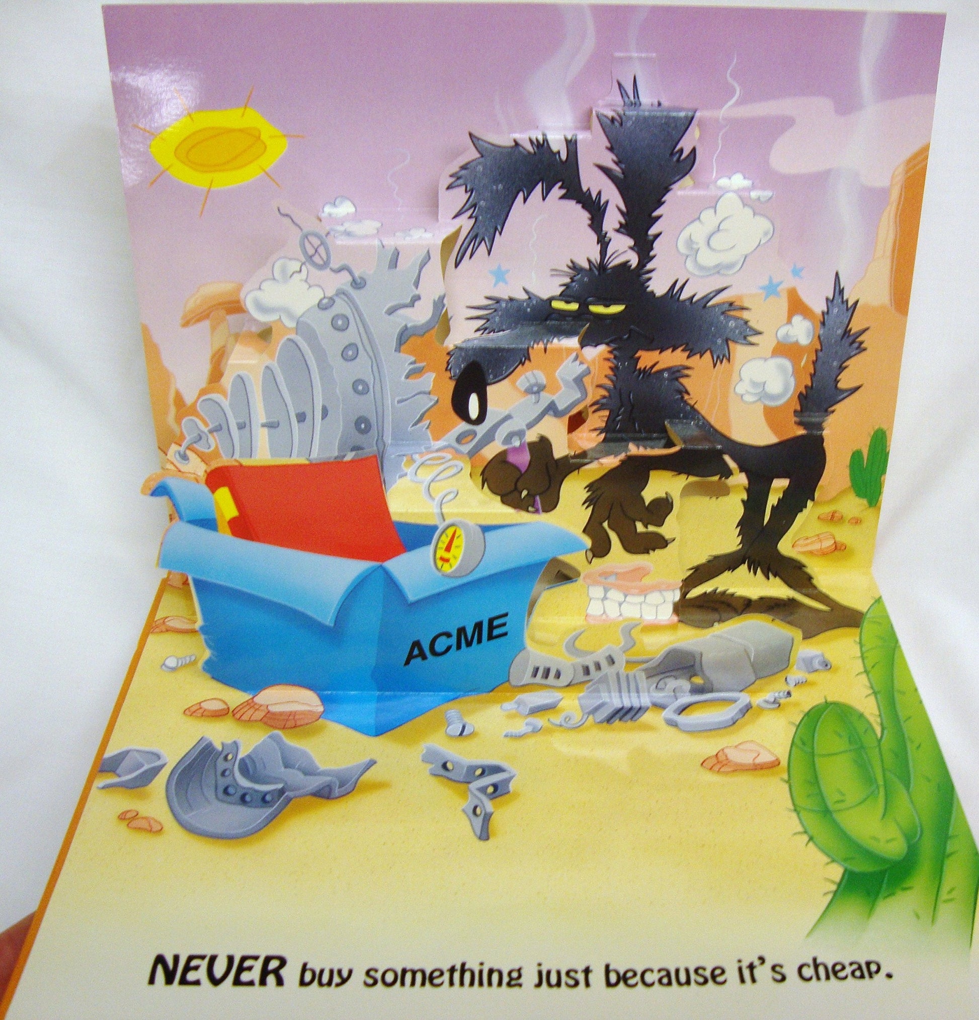 Wile E. Coyote's Gravity Lessons: Pop-Up Storybook used book depot