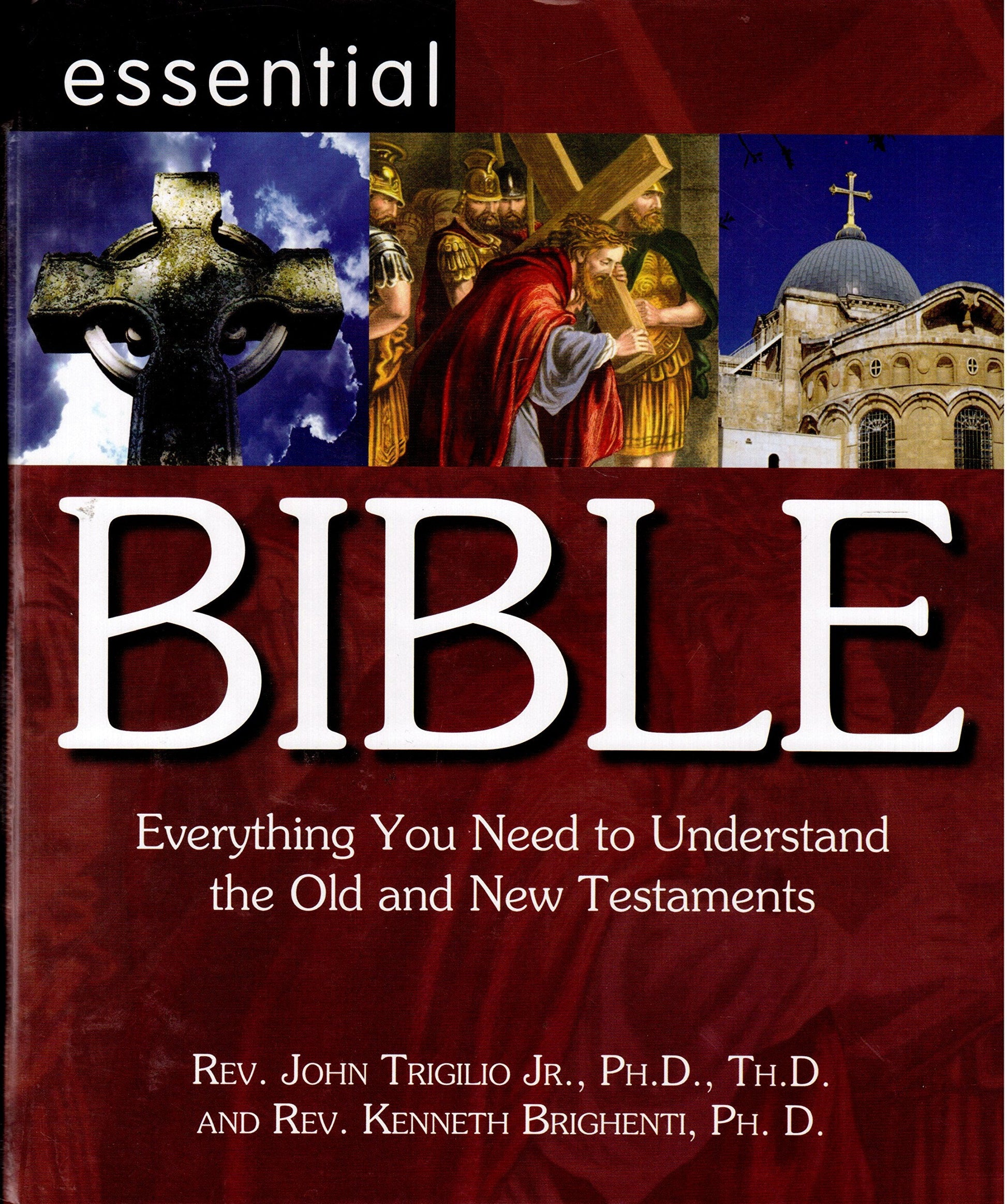 Essential Bible: Everything You Need to Understand the Old and New Testaments used book depot