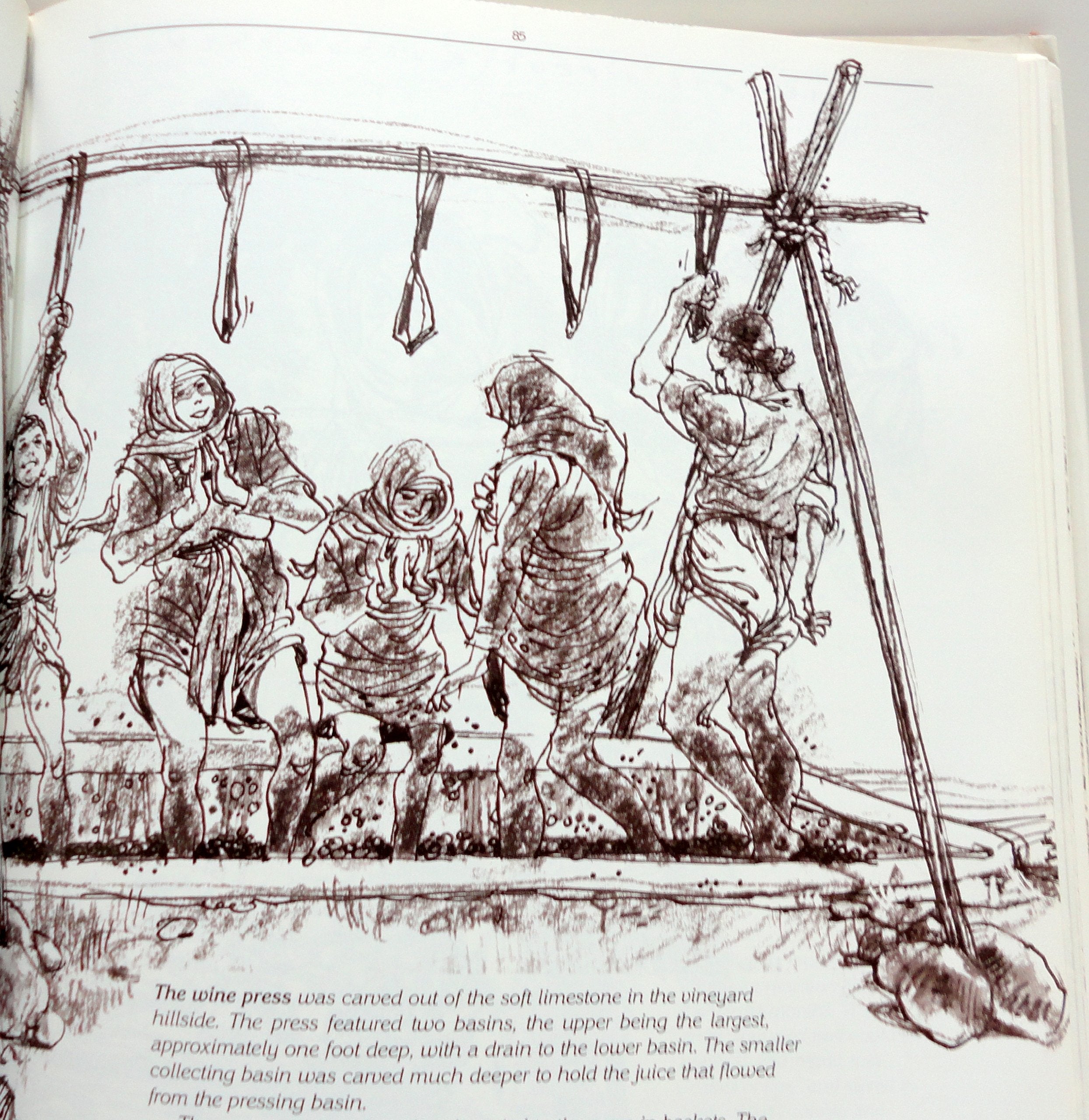 The Land & People Jesus Knew: A Visual Tour of First-Century Palestine used book depot