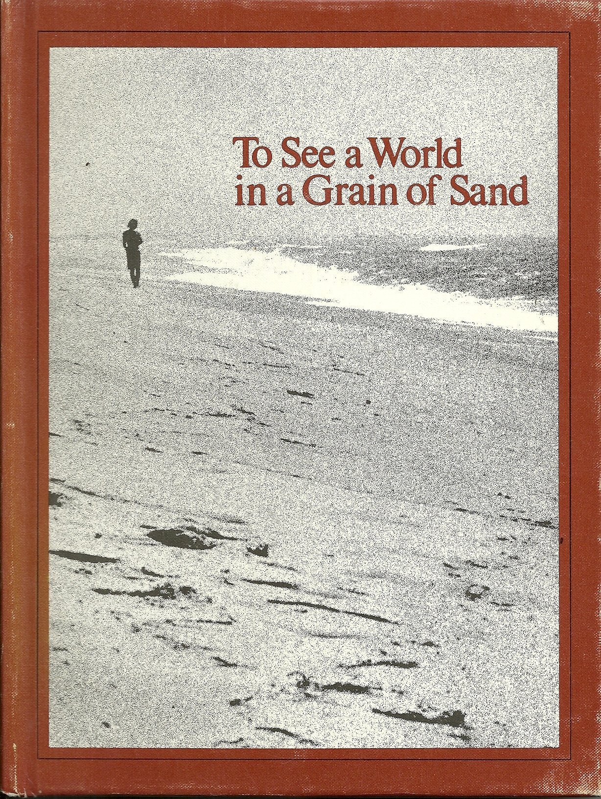 To See a World in a Grain of Sand