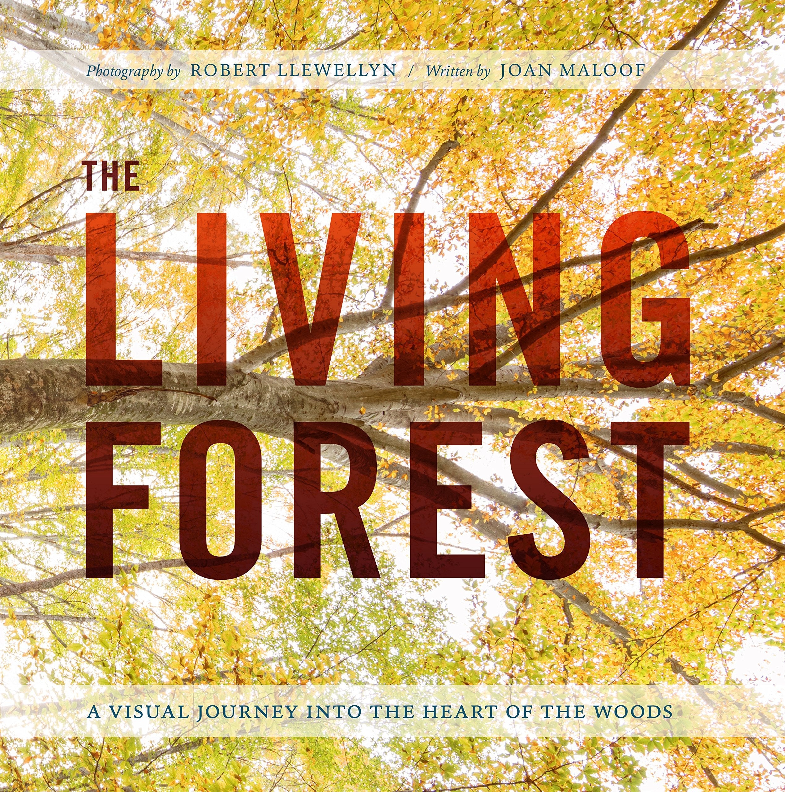 The Living Forest: A Visual Journey Into the Heart of the Woods used book depot