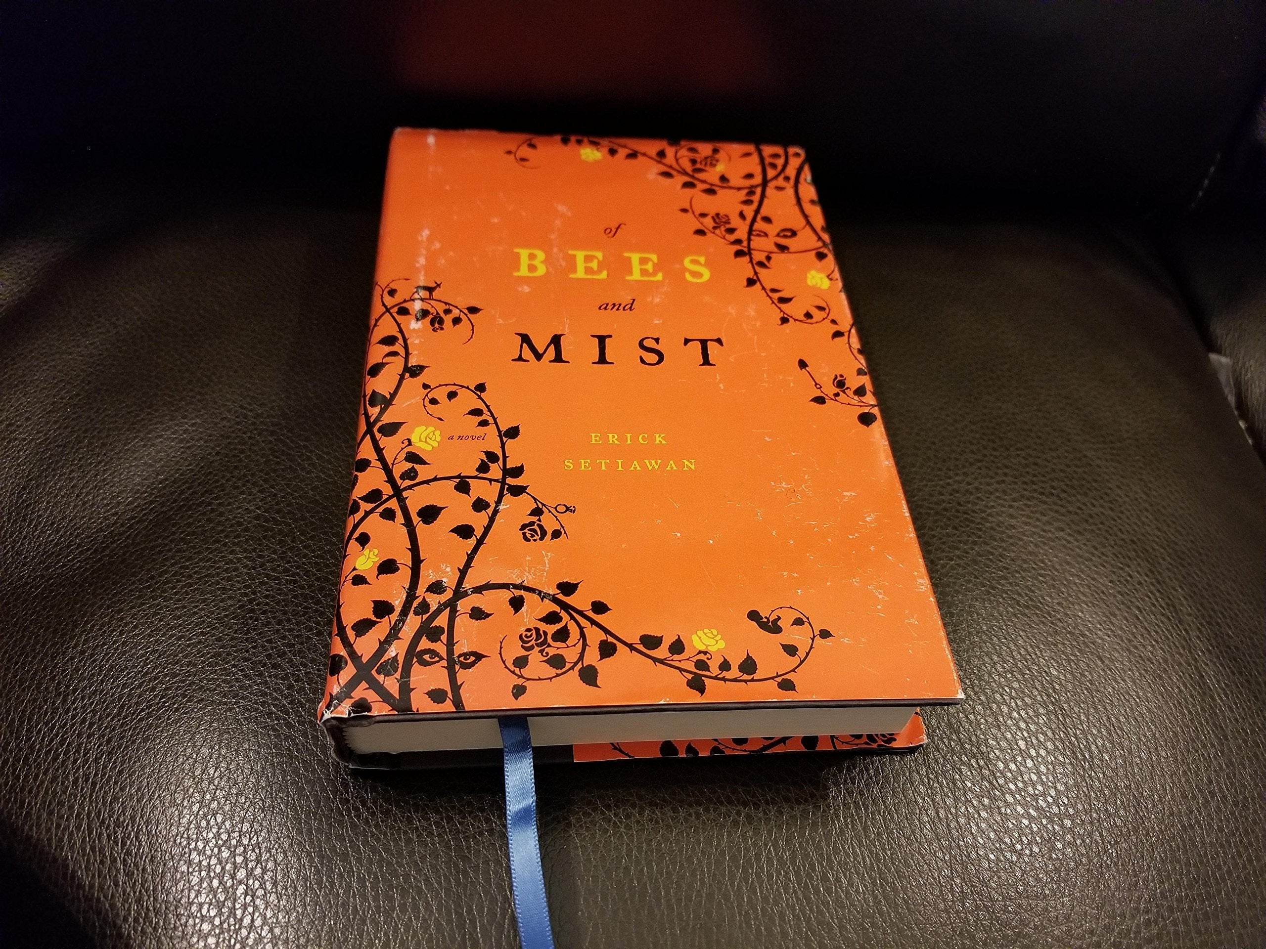 Of Bees and Mist: A Novel used book depot