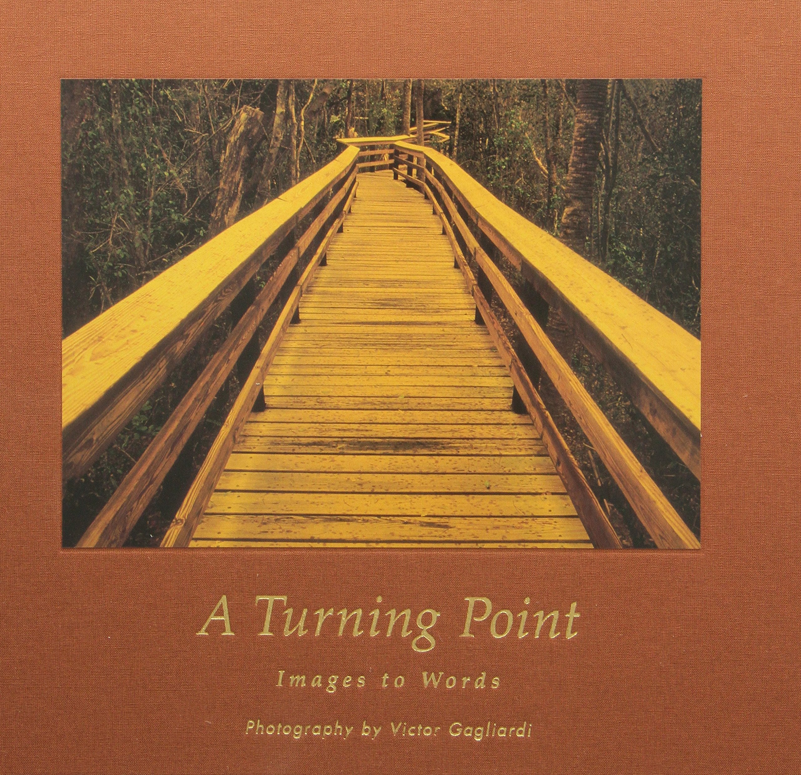 A Turning Point: Images to Words