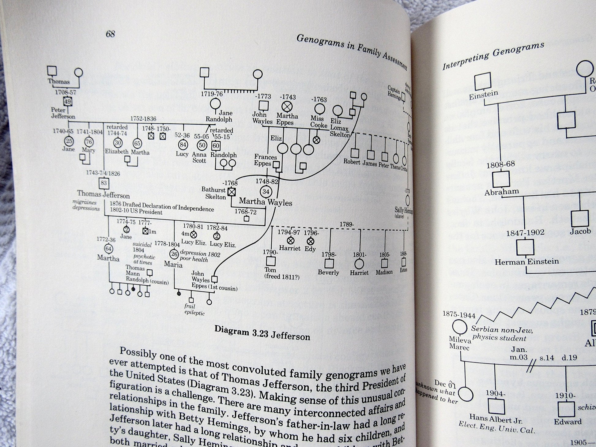Genograms in Family Assessment used book depot