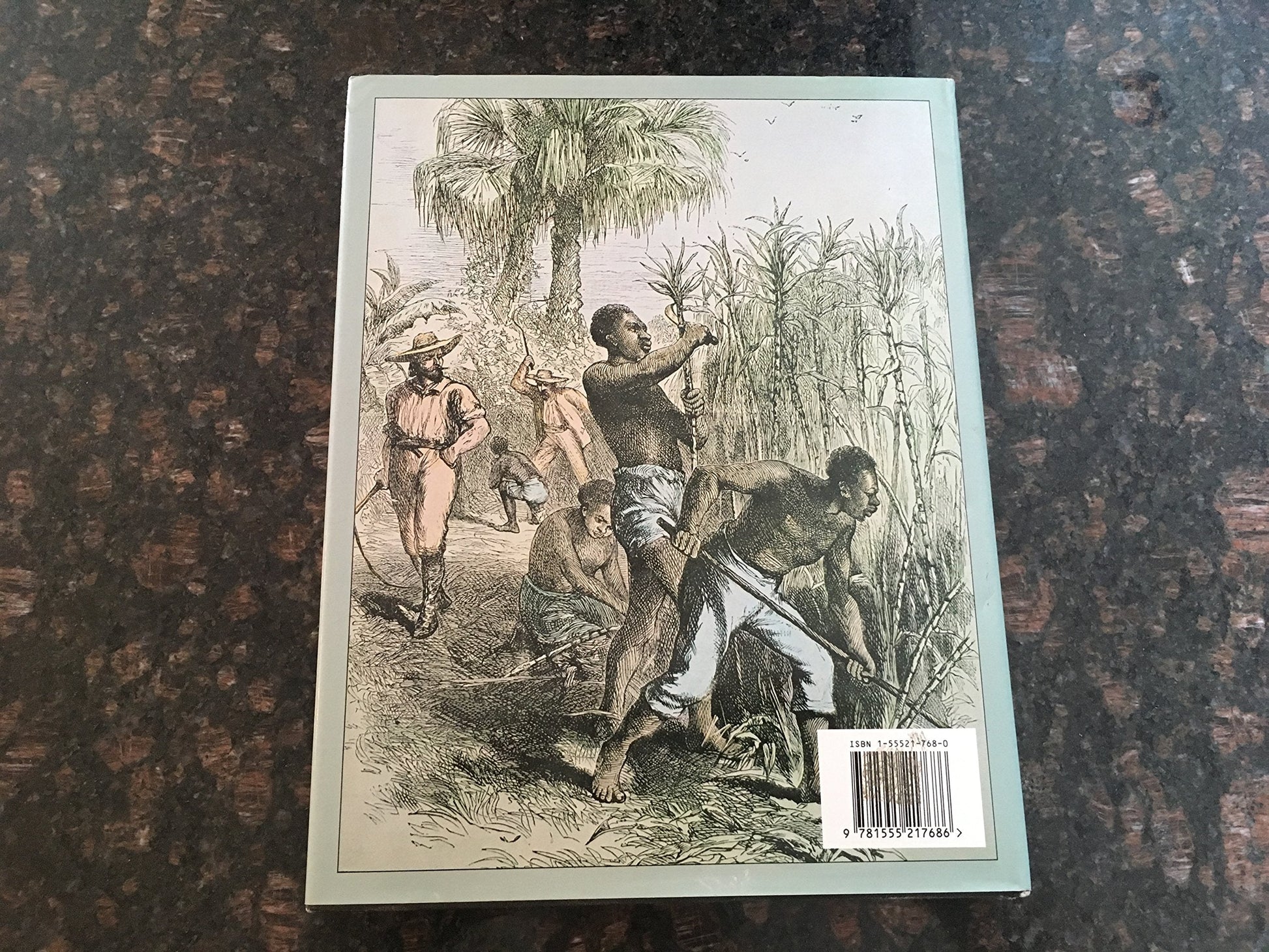 History of Slavery: An Illustrated History of the Monstrous Evil used book depot