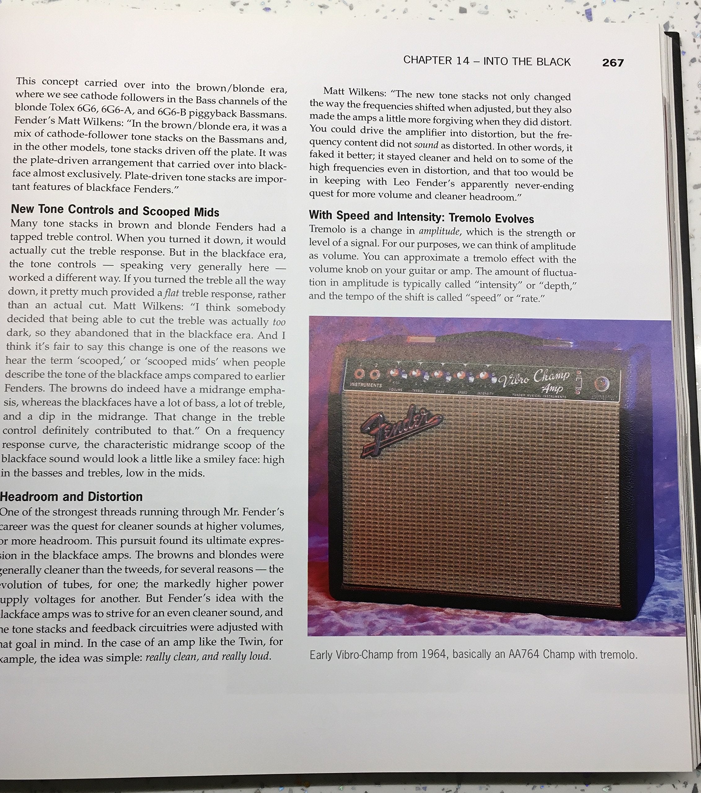 The Soul of Tone: Celebrating 60 Years of Fender Amps used book depot
