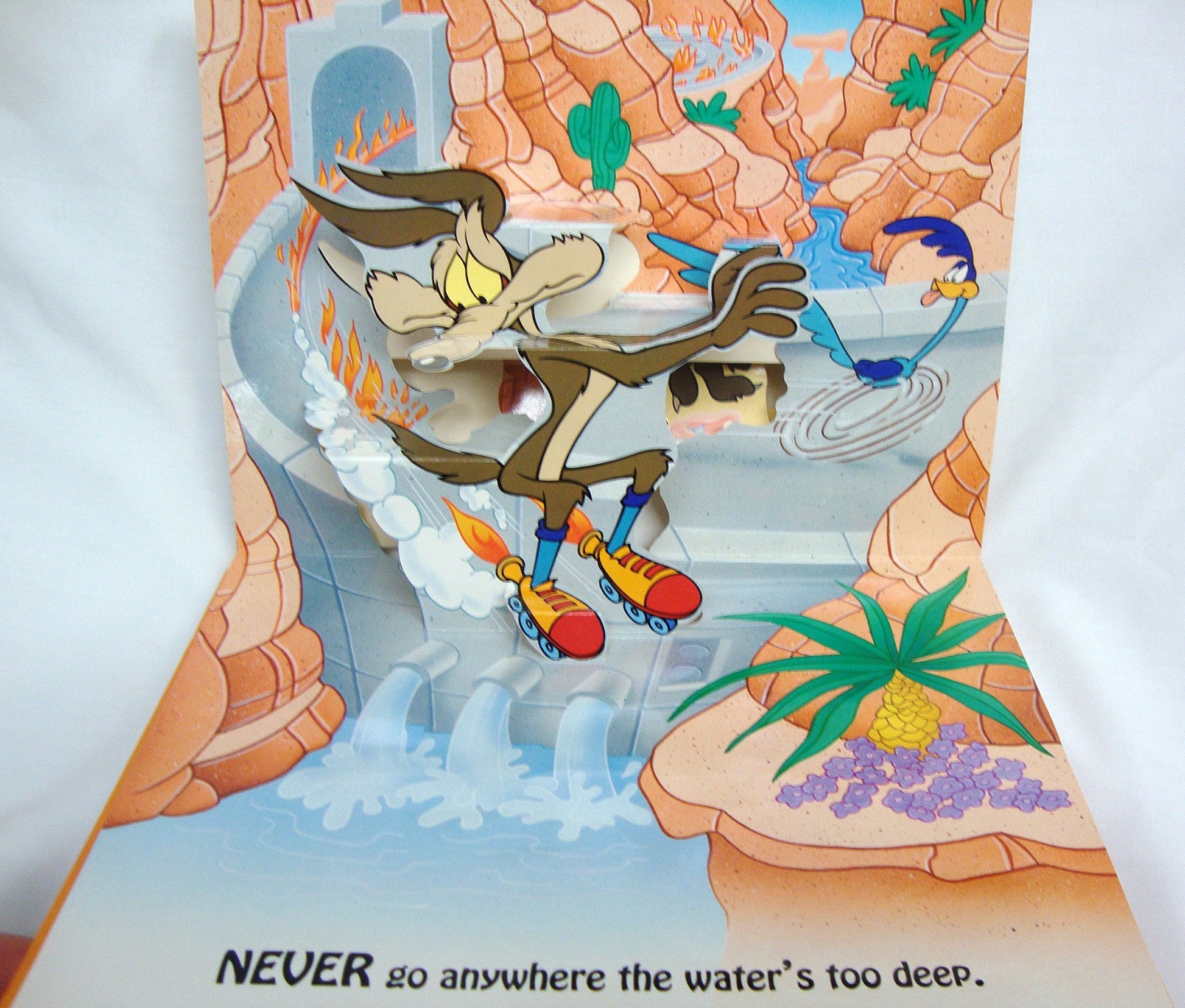 Wile E. Coyote's Gravity Lessons: Pop-Up Storybook used book depot