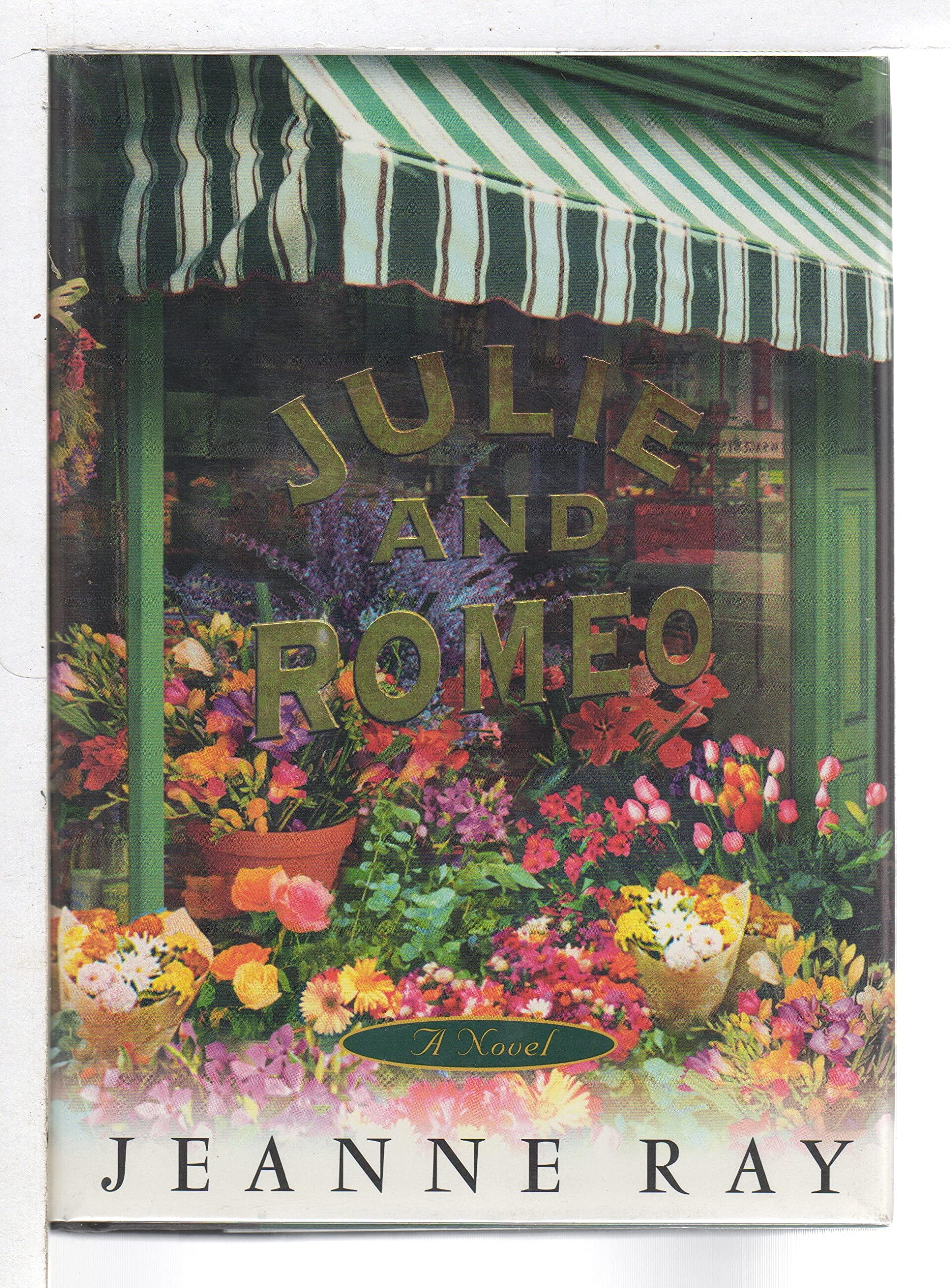 Julie and Romeo: A Novel used book depot