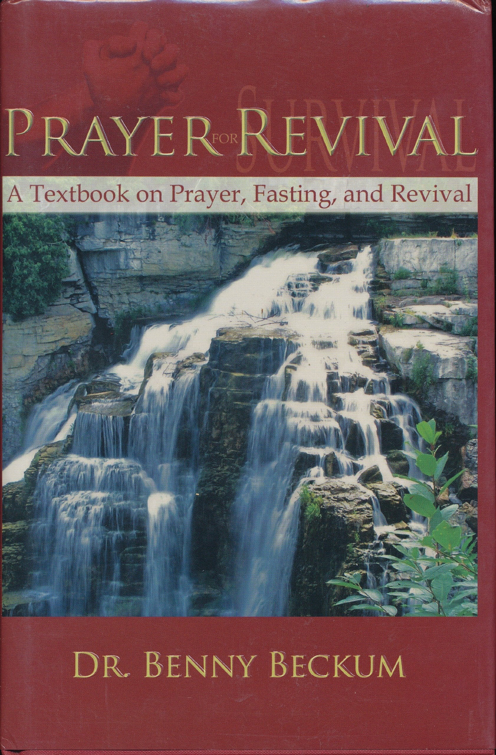 Prayer Revival; A textbook on Prayer, Fasting, and Revival used book depot