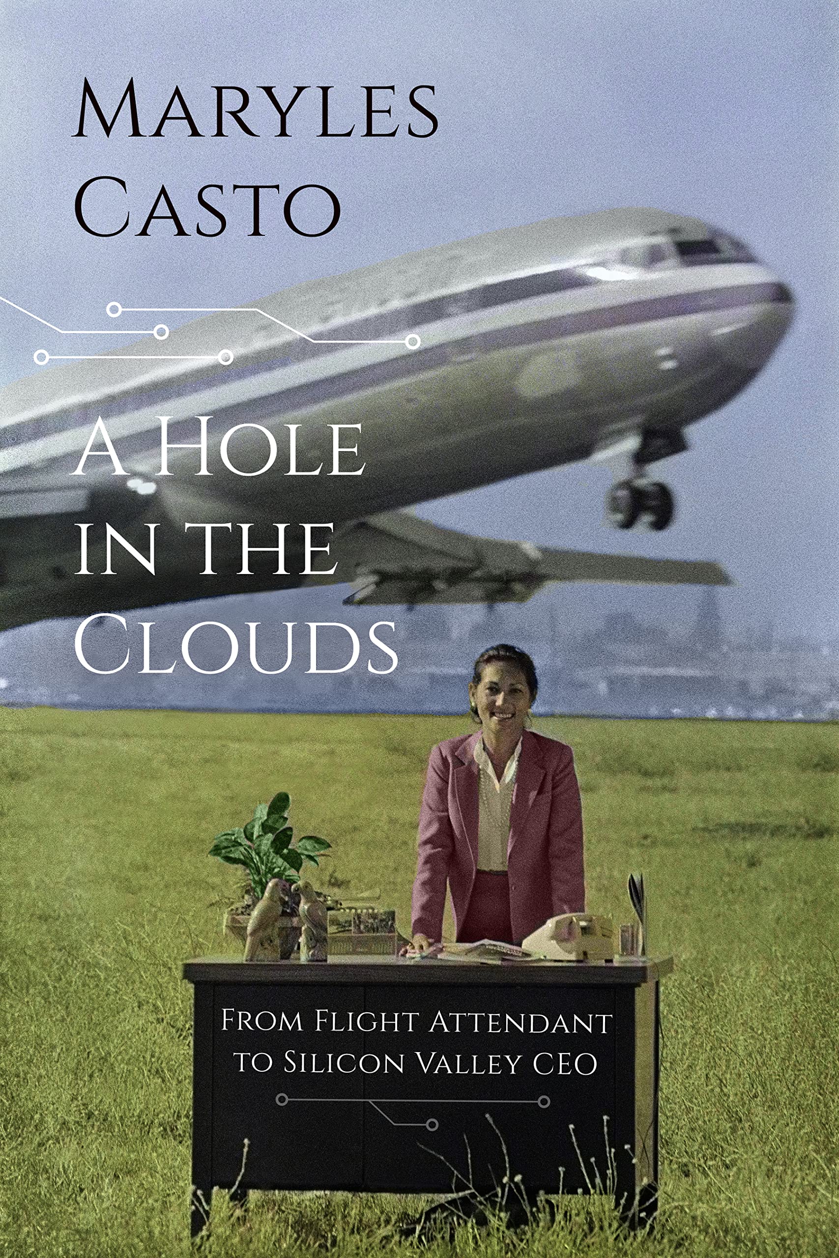 A Hole In The Clouds: From Flight Attendant to Silicon Valley CEO used book depot