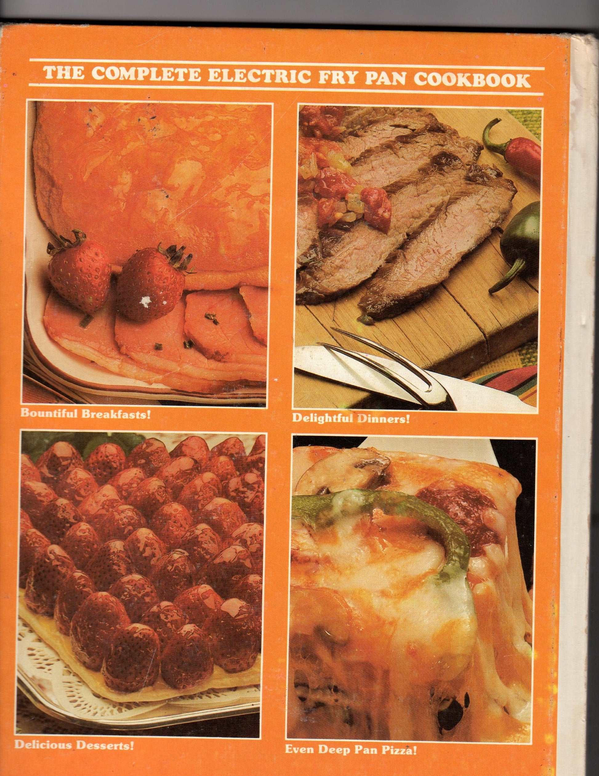 FABULOUS FRY PAN FAVORITES The Complete Electric Fry Pan cookbook used book depot