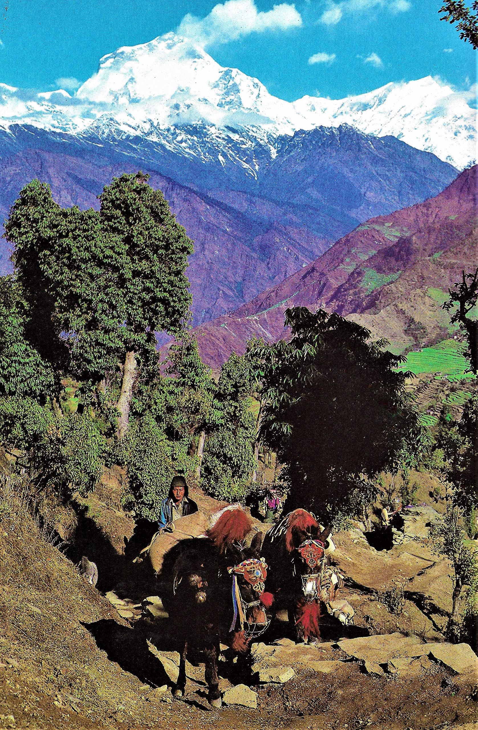 The Living Planet: A Portrait of the Earth used book depot