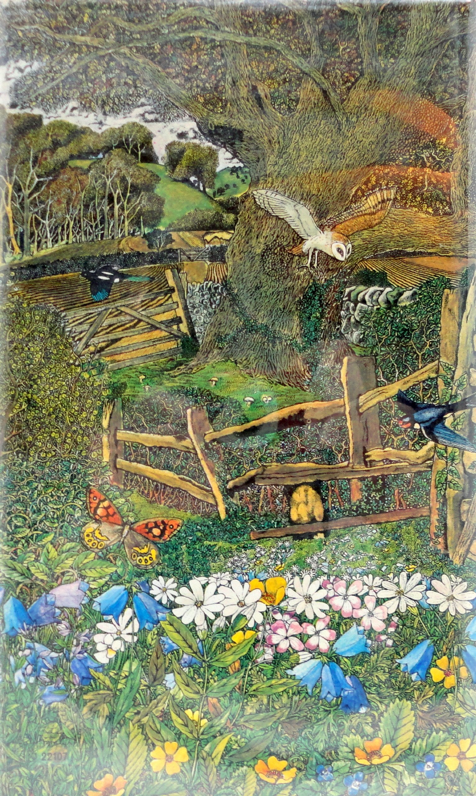 Nature Through the Seasons used book depot