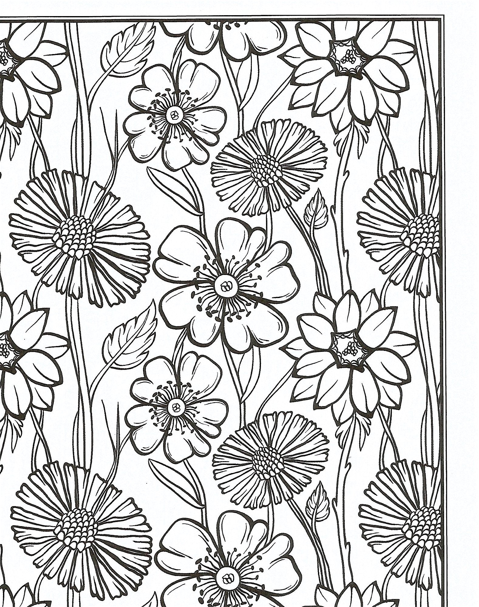 Flowers Coloring Book: Beautiful Pictures from the Garden of Nature (Chartwell Coloring Books, 2) used book depot