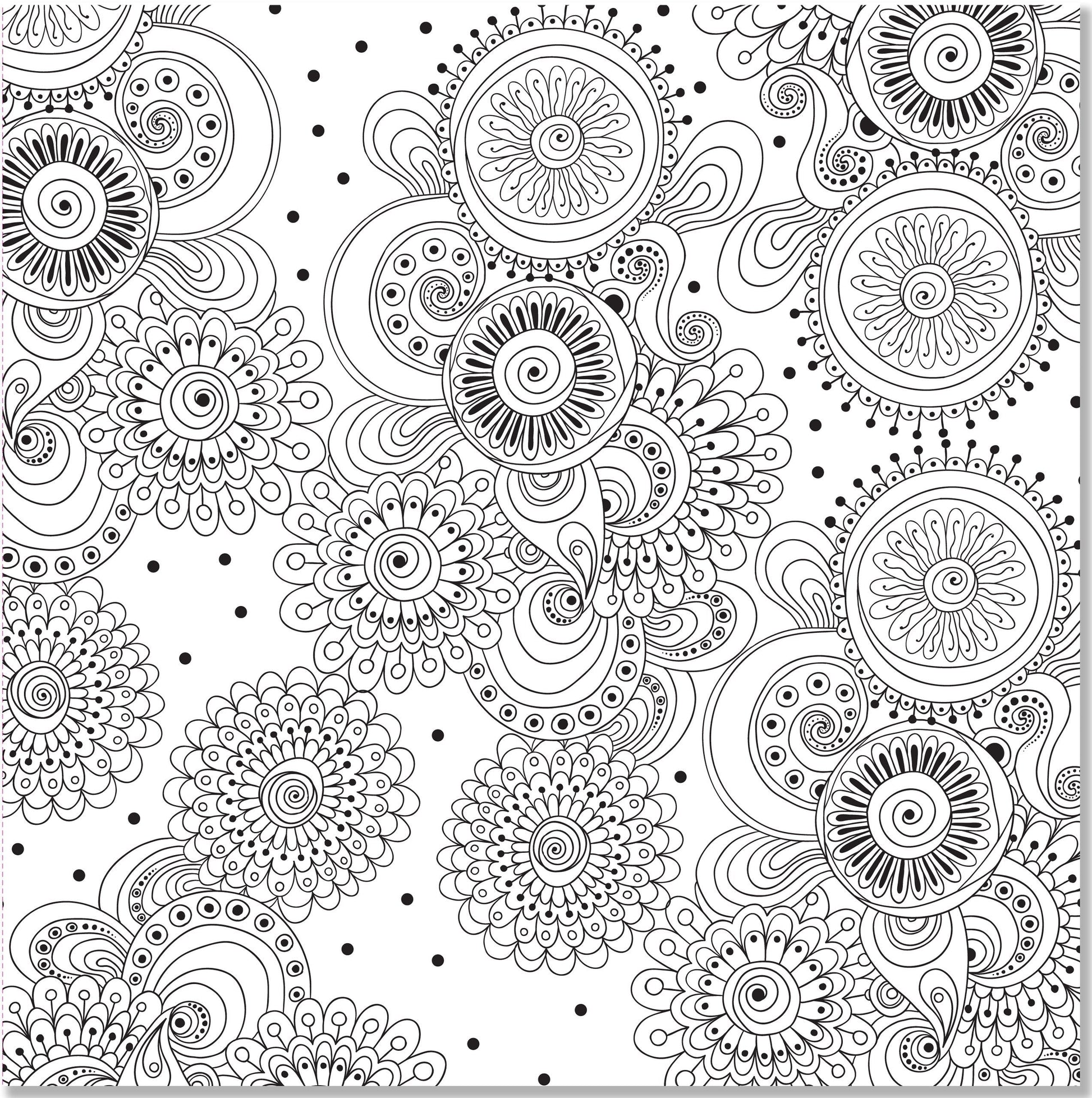 Doodle Designs Adult Coloring Book (31 stress-relieving designs) (Studio) used book depot