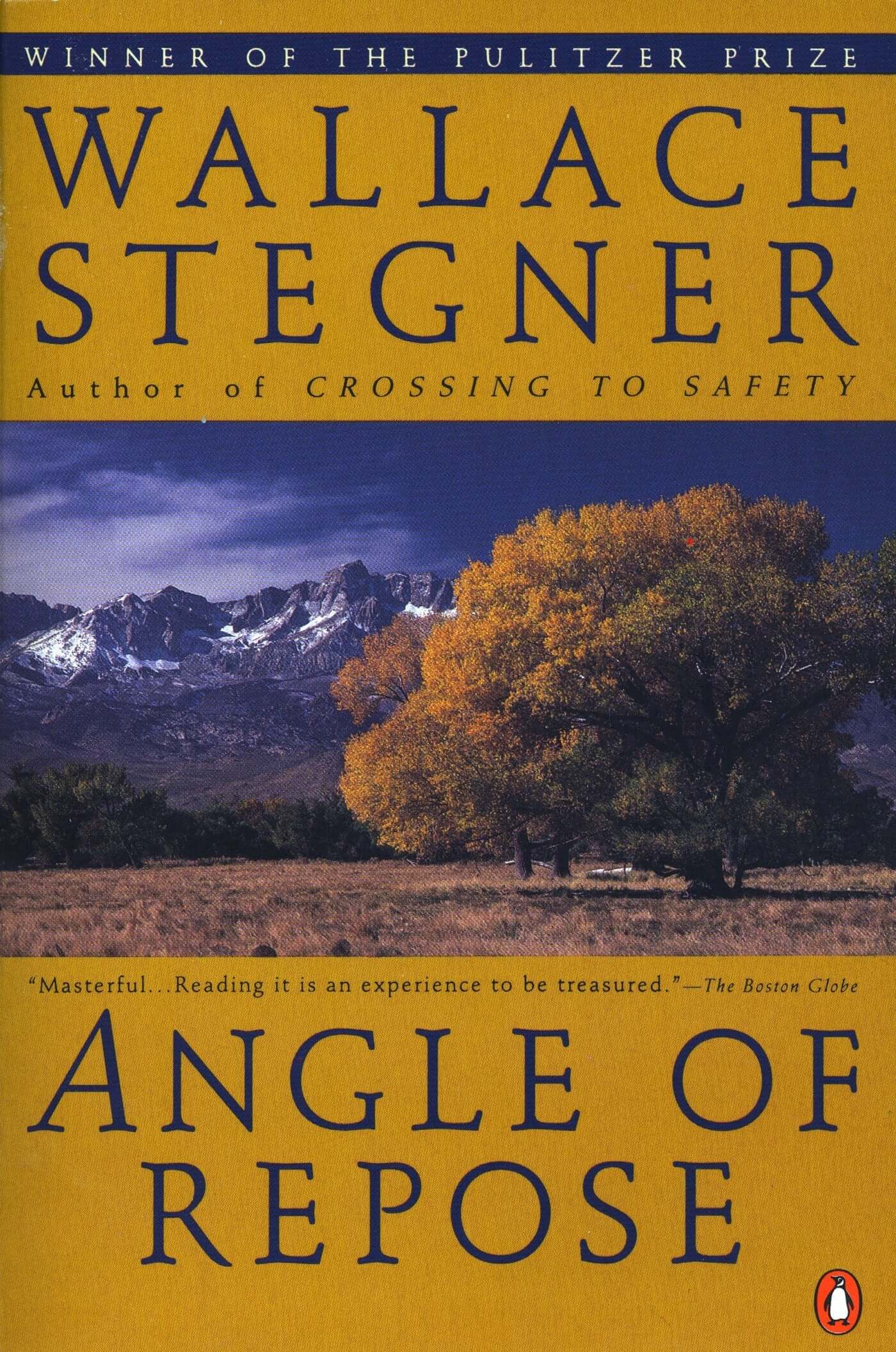 Angle of Repose (Contemporary American Fiction) used book depot