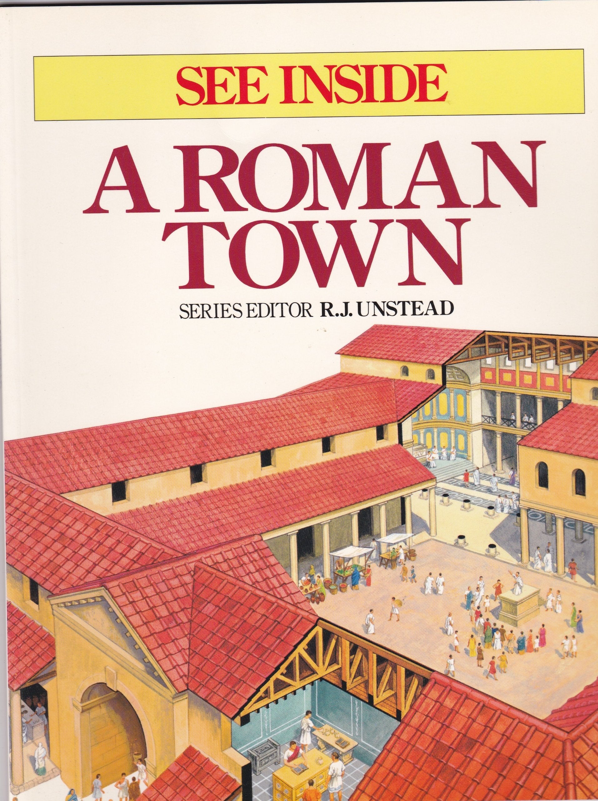 A Roman Town (See Inside) used book depot