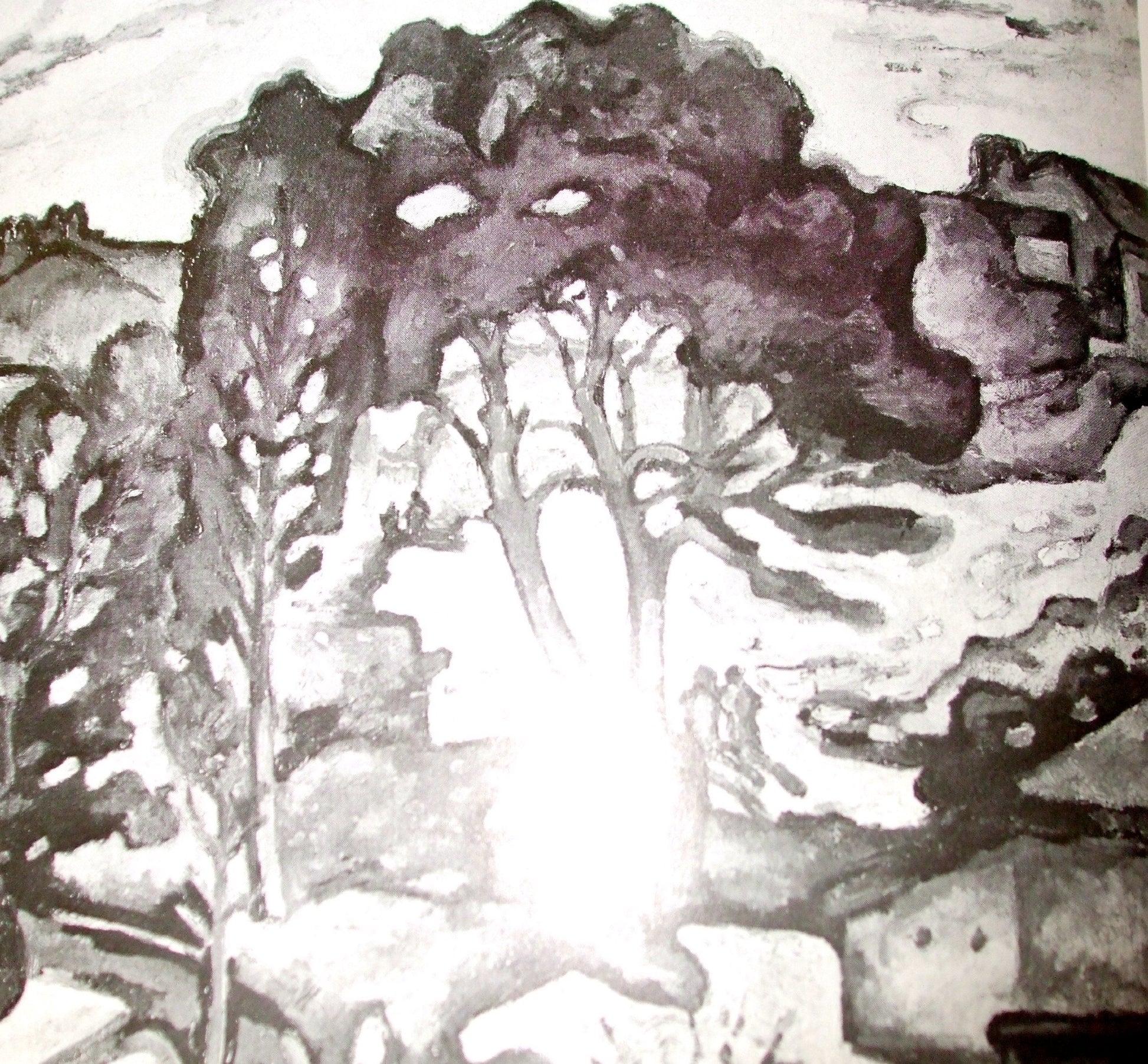 The "Wild Beasts": Fauvism and Its Affinities used book depot