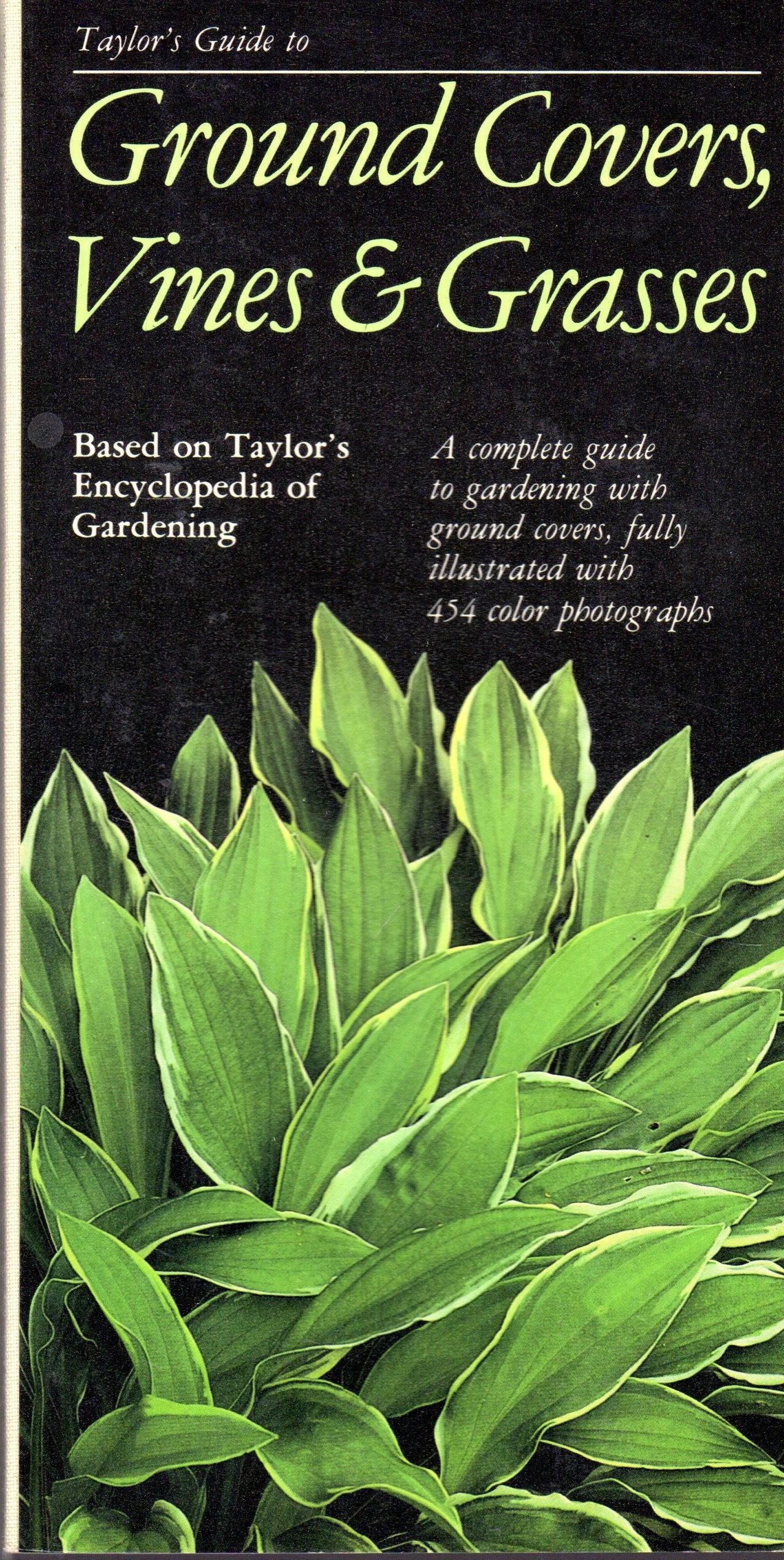 Taylor's Guide to Ground Covers, Vines & Grasses (Taylor's Guide to Gardening) used book depot