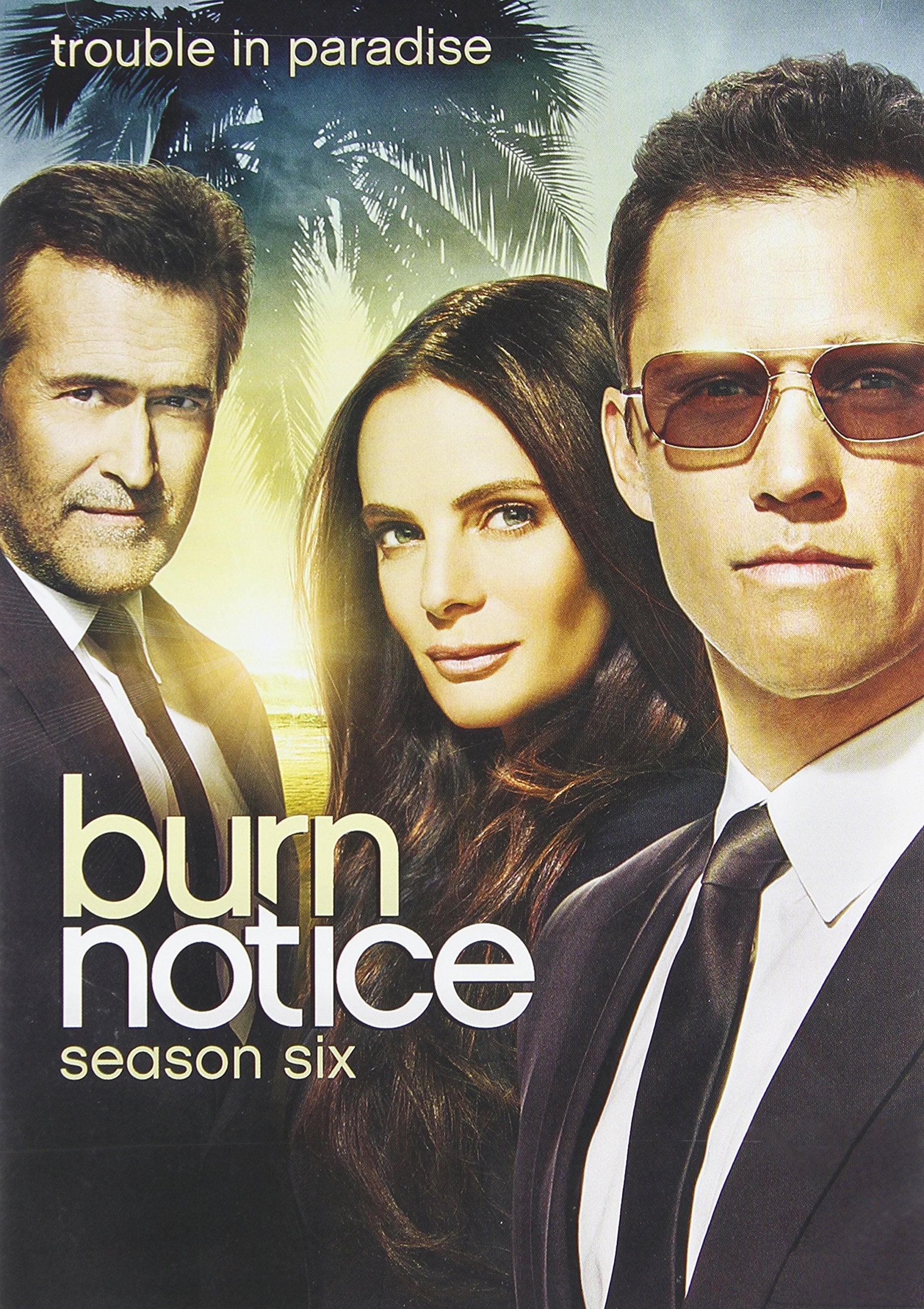 Burn Notice: Season 6 used book depot