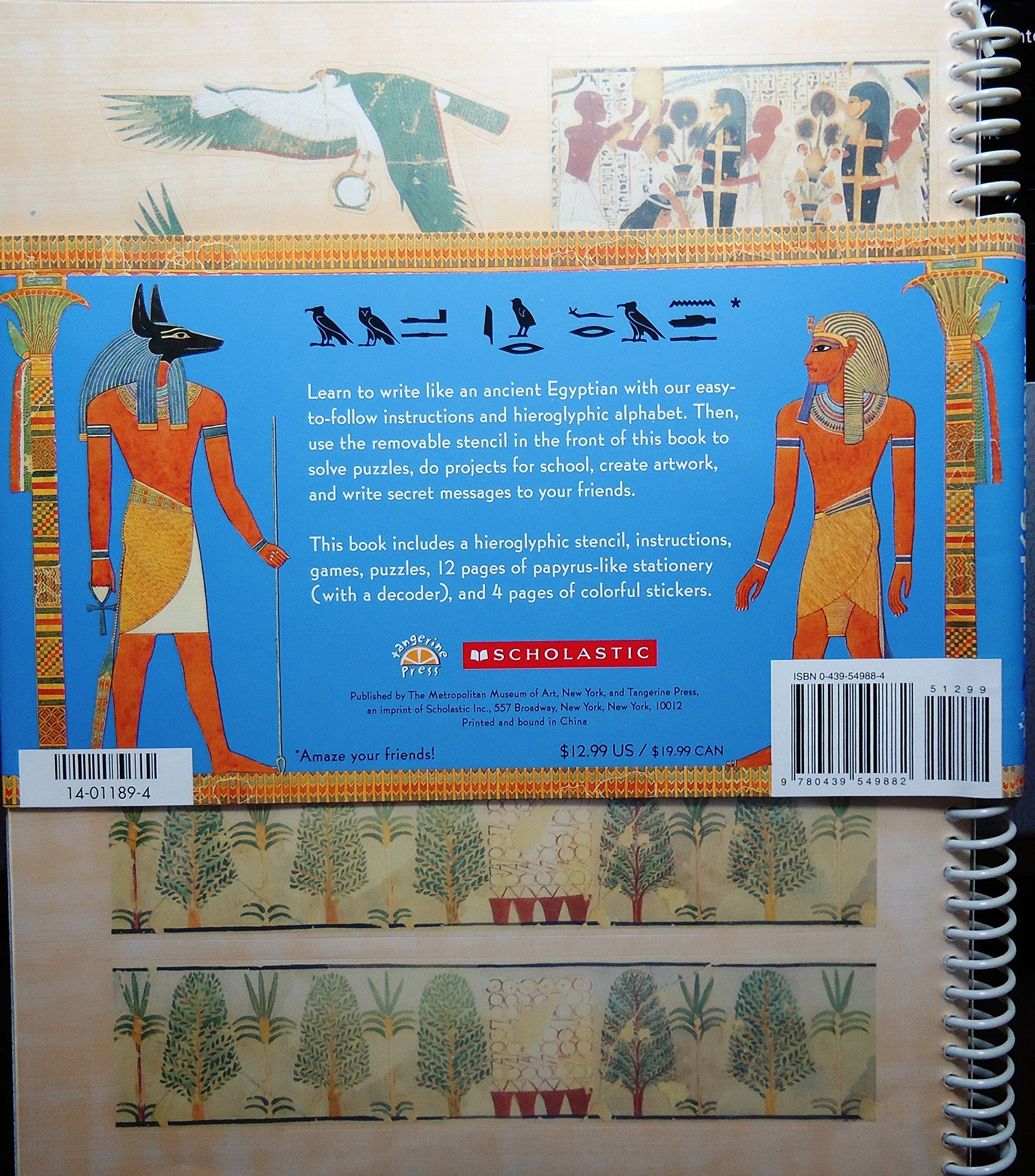 Write Like an Ancient Egyptian! used book depot