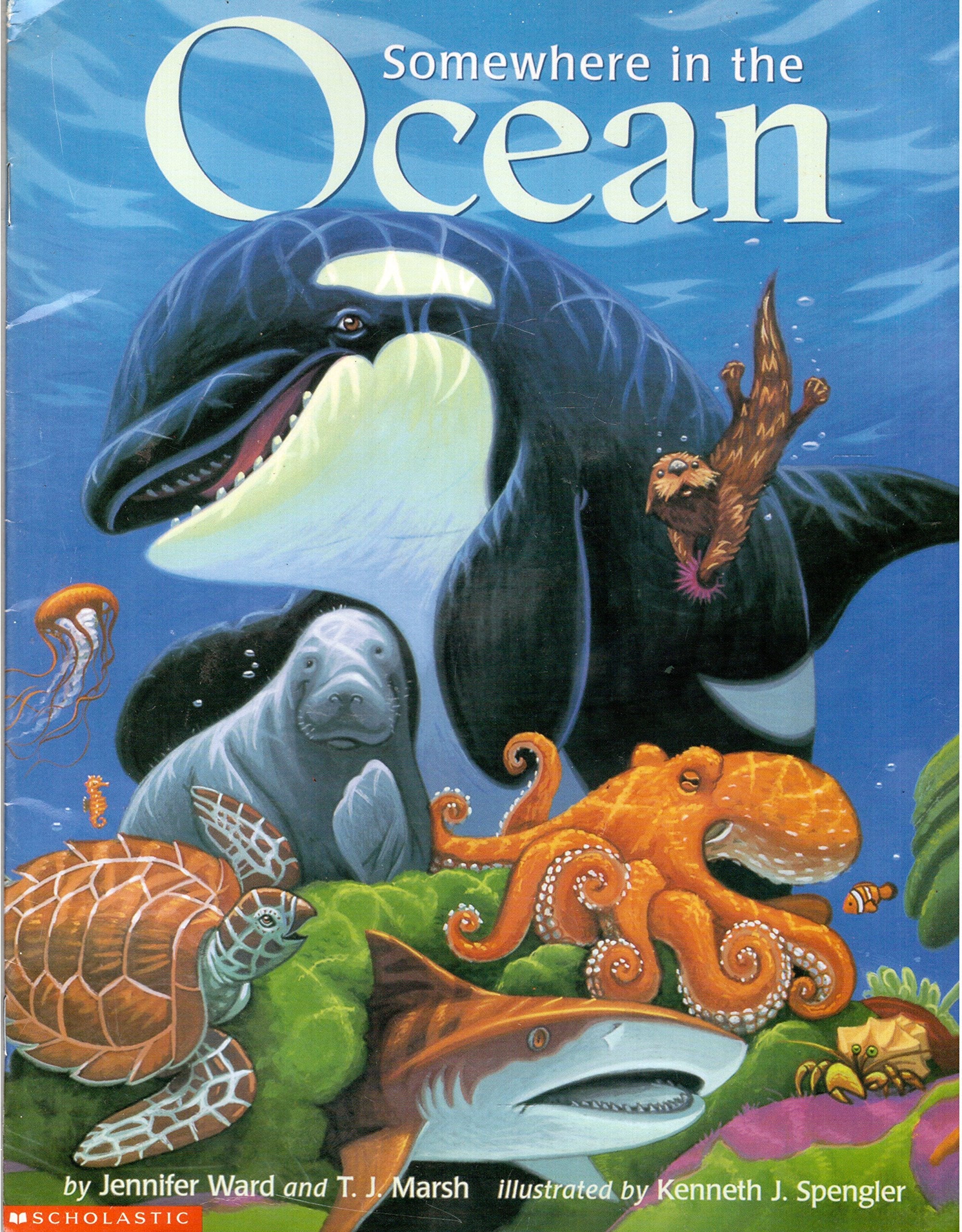 Somewhere in the Ocean used book depot