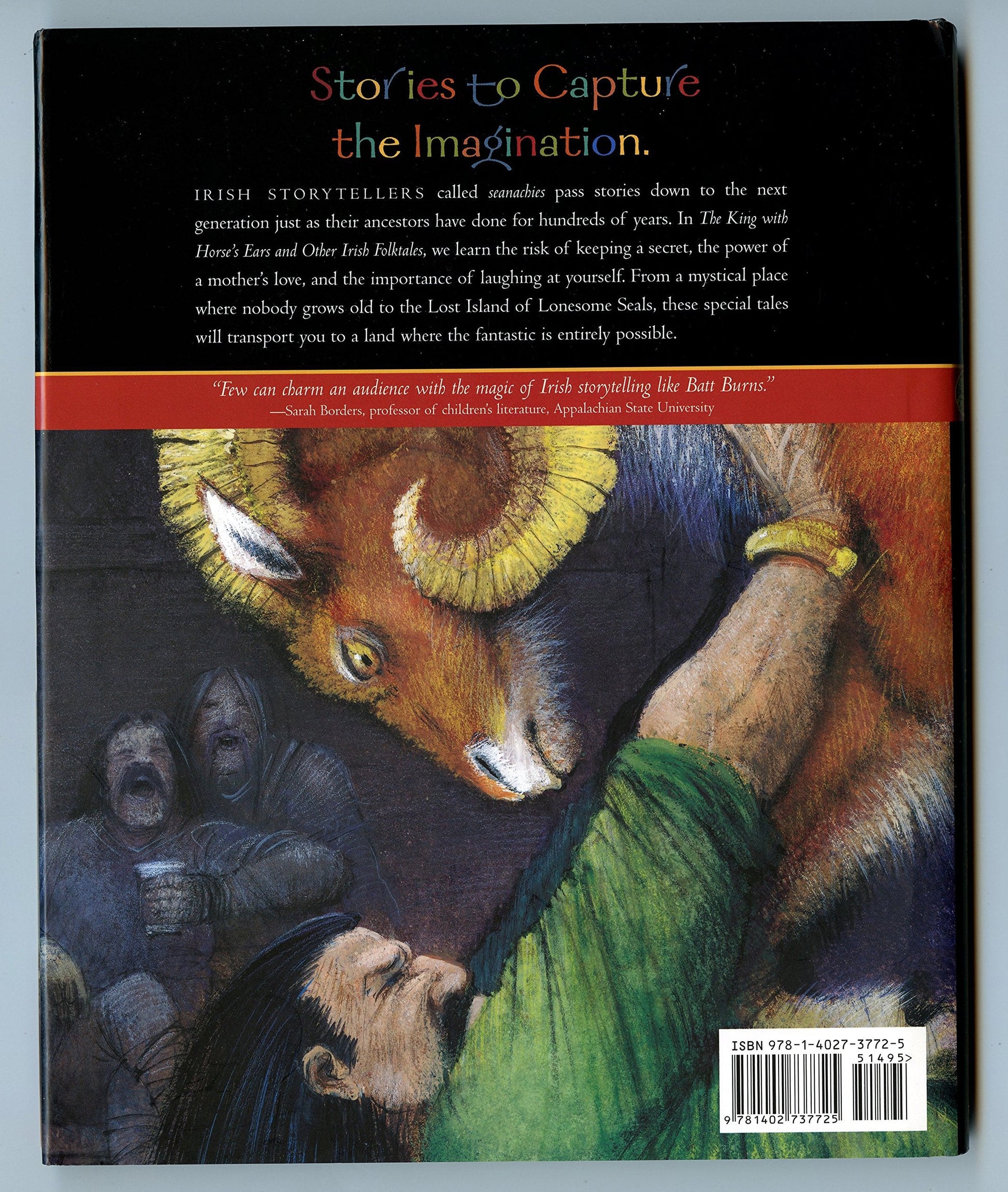 The King with Horse's Ears and Other Irish Folktales (Folktales of the World) used book depot