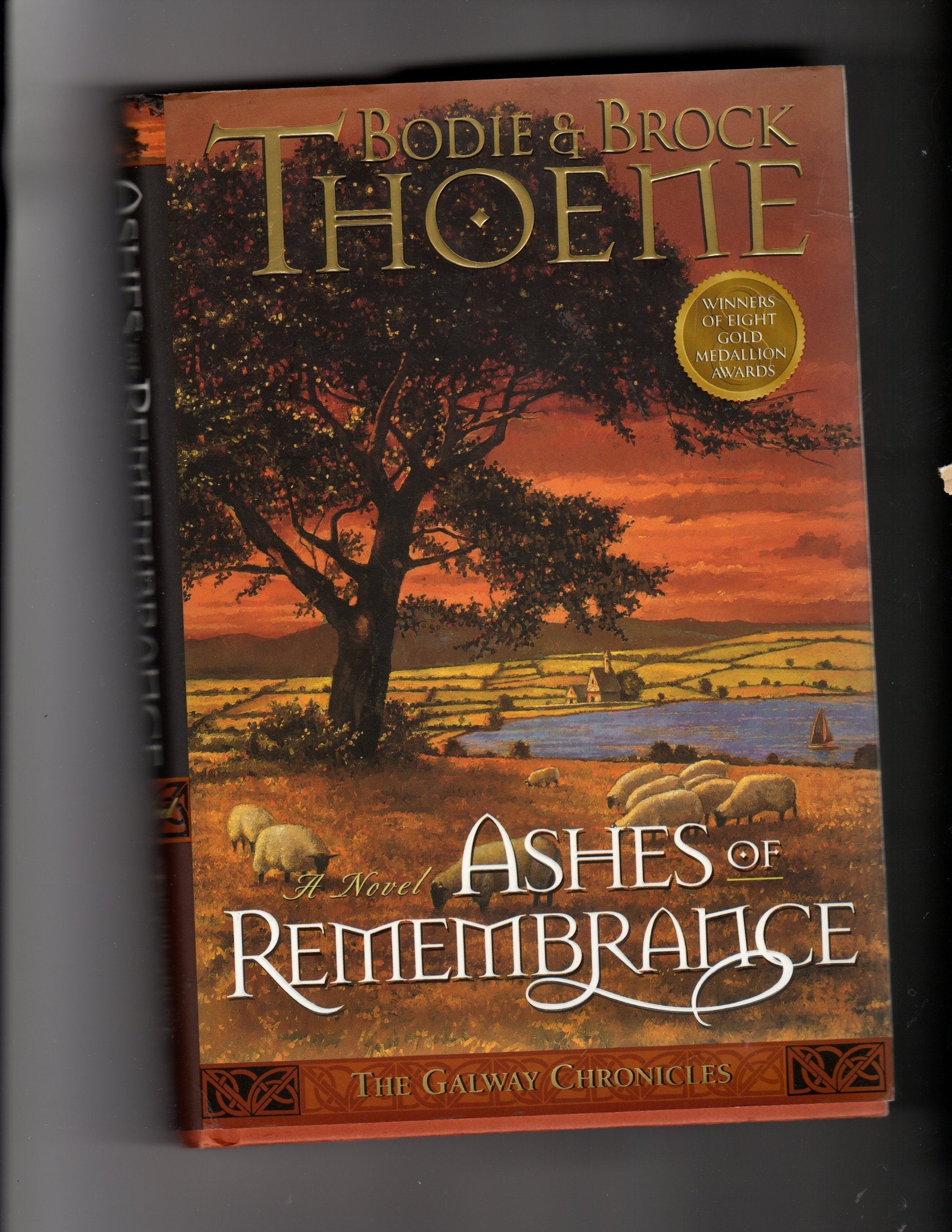 Ashes of Remembrance (Galway Chronicles, Book 3) used book depot