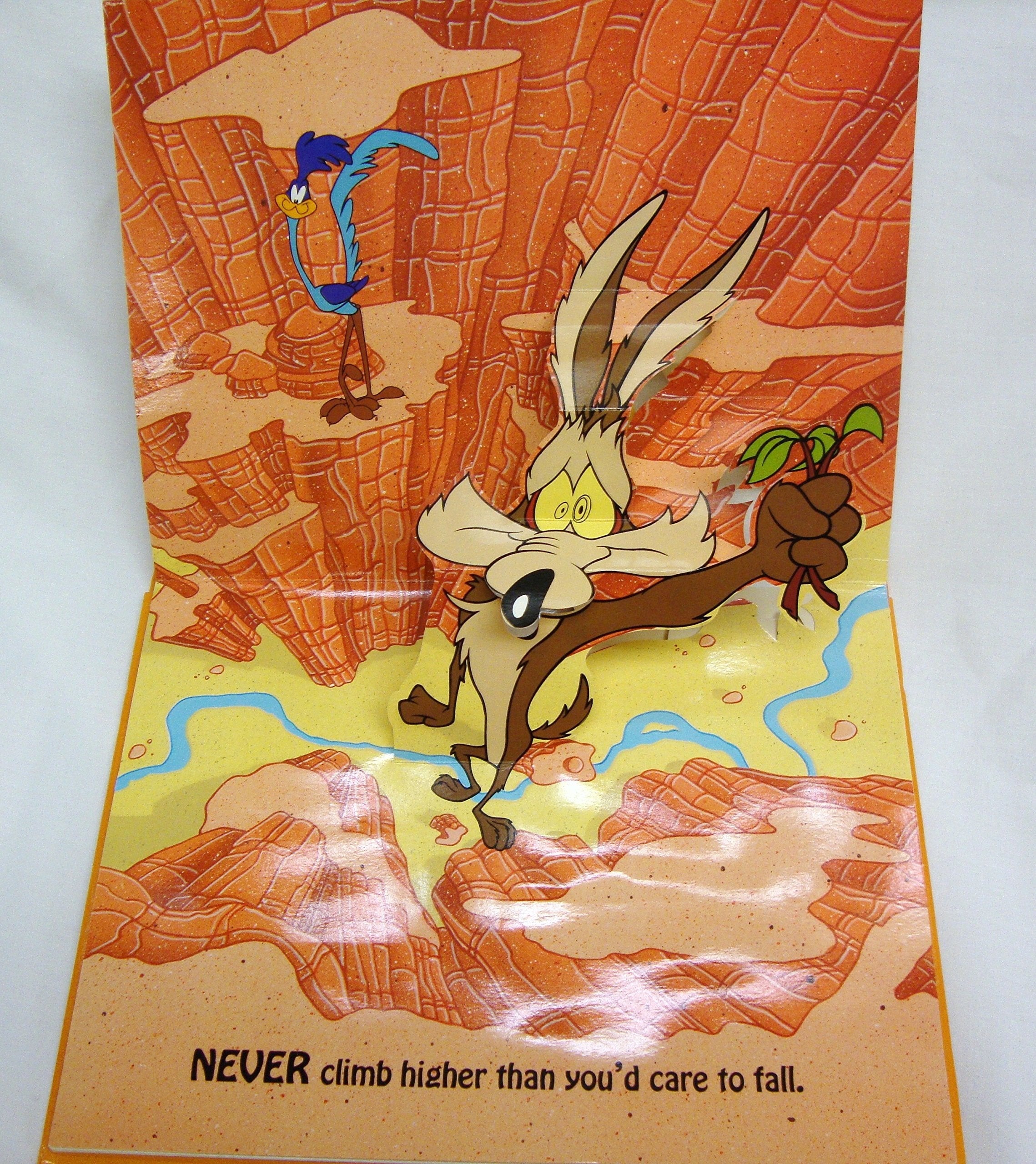 Wile E. Coyote's Gravity Lessons: Pop-Up Storybook used book depot
