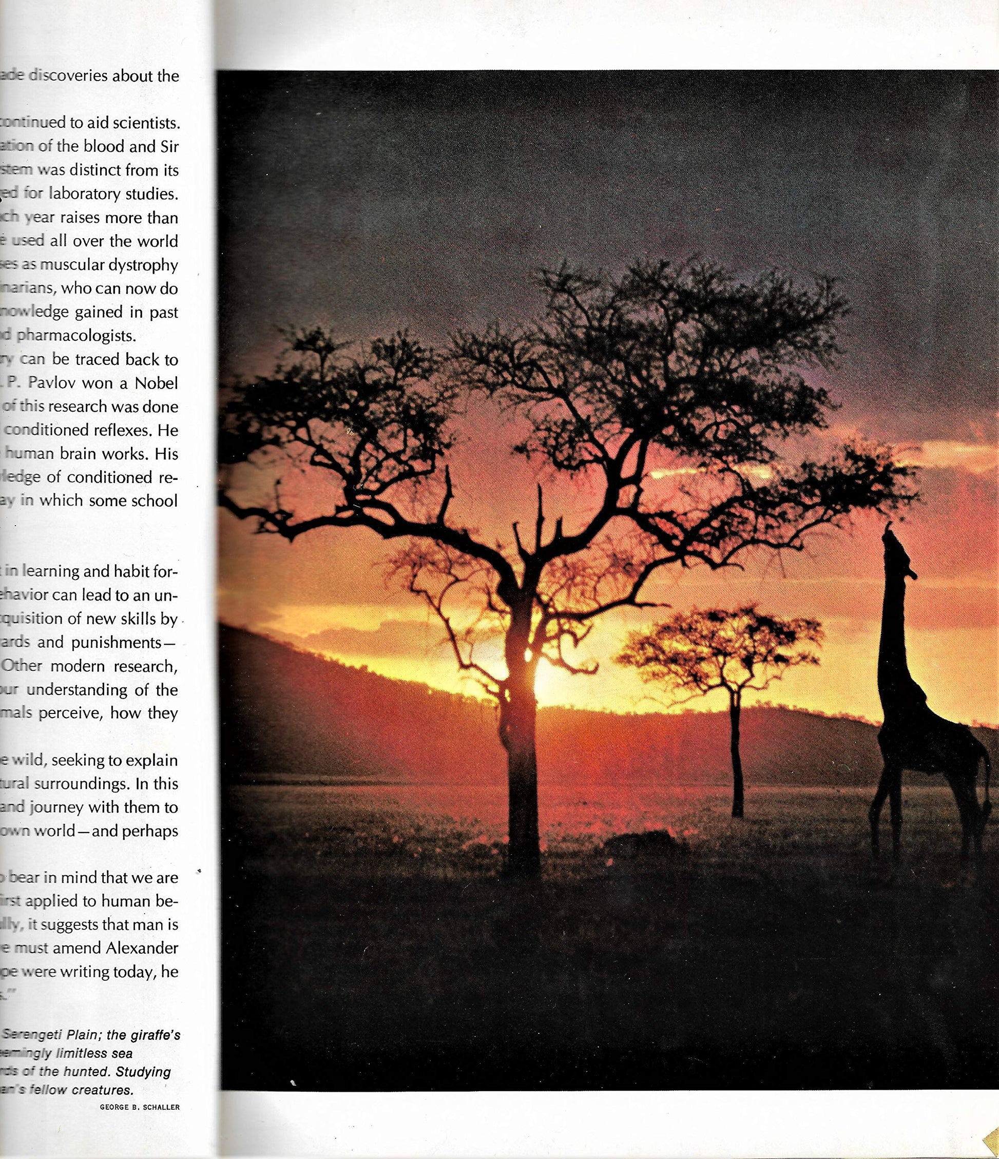 The Marvels of Animal Behavior. used book depot