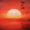 Fire of Life: The Smithsonian Book of the Sun