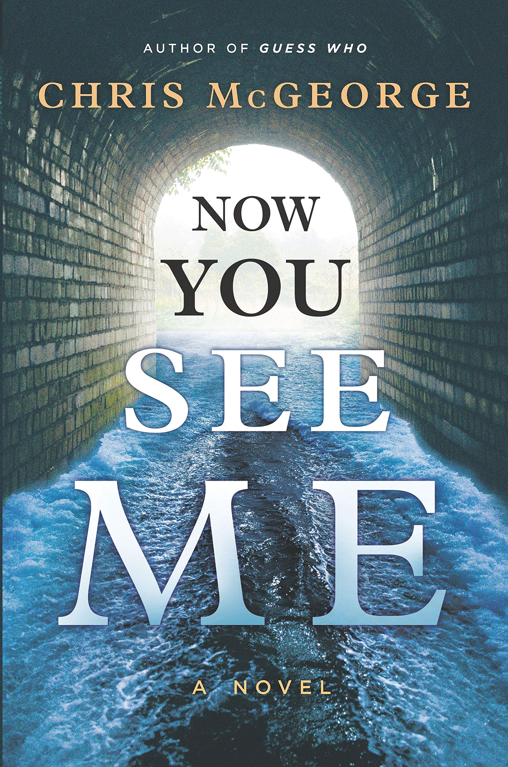 Now You See Me: A Novel used book depot