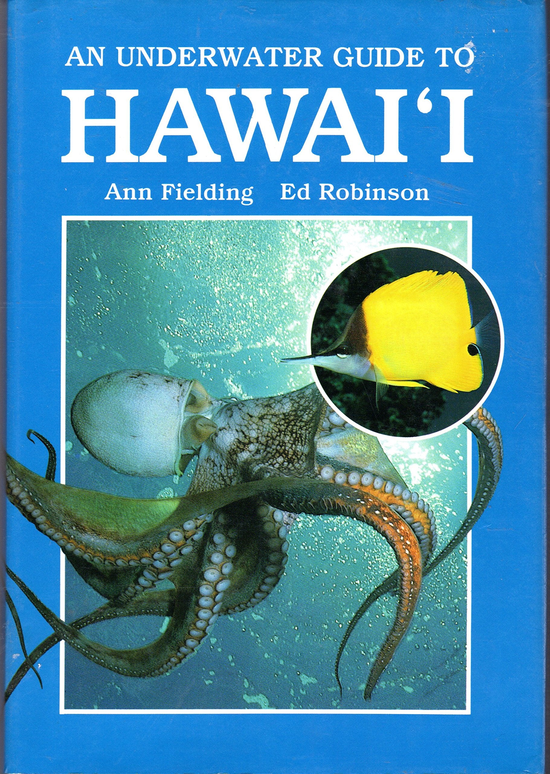 An Underwater Guide to Hawai'i
