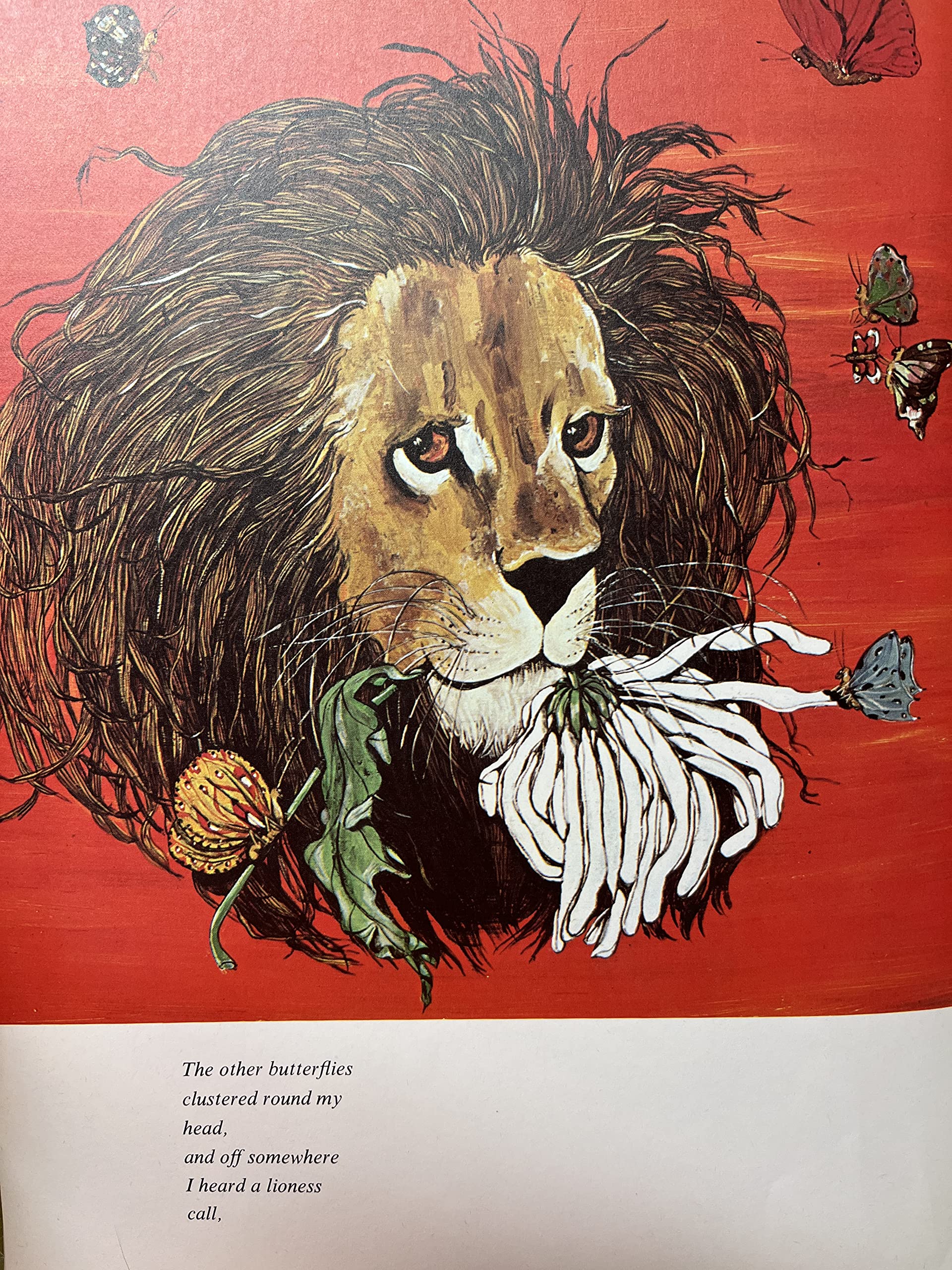 Lion and Blue used book depot